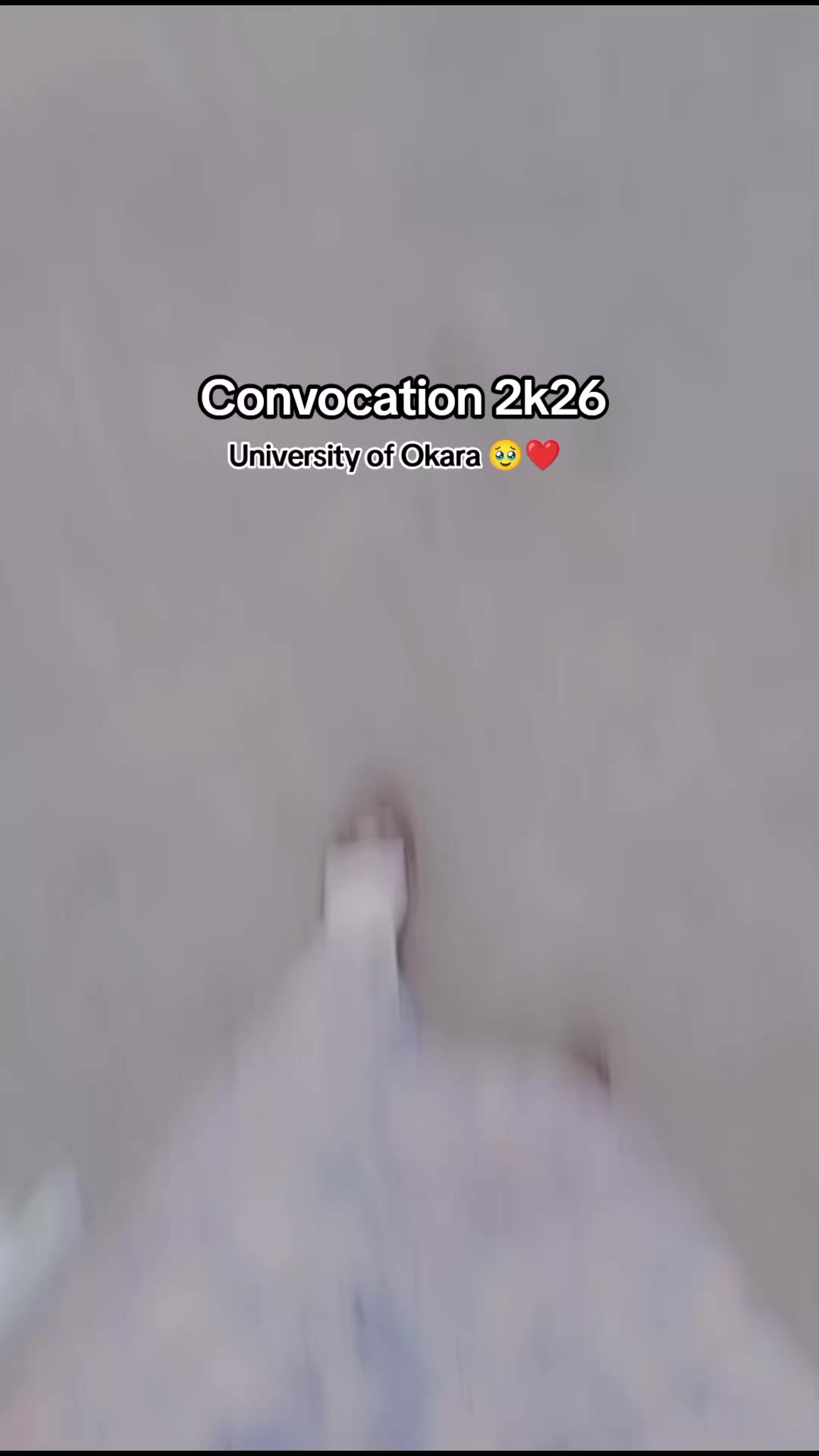 @🕊️🌸ـﮩﮩᎪຮ𝖍υ