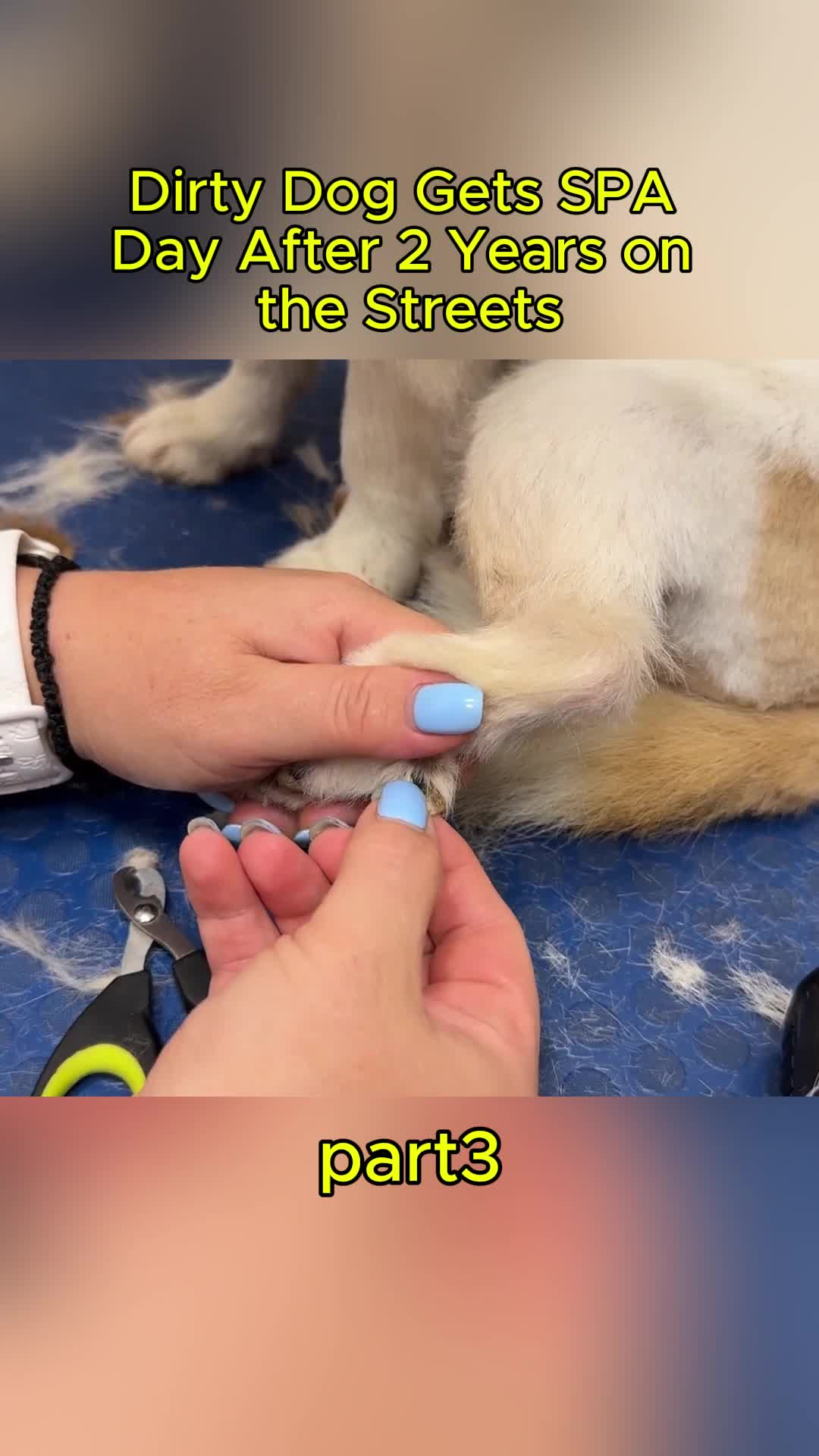 @uxifnfsiyyn