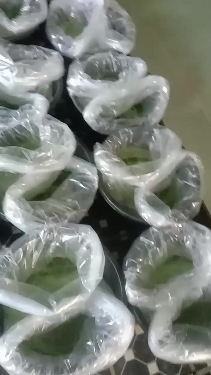 @afdhal koi farm