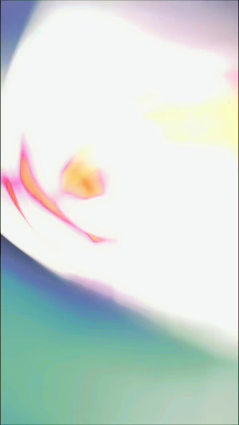 @Víčķý Vìçķý ķhäñ