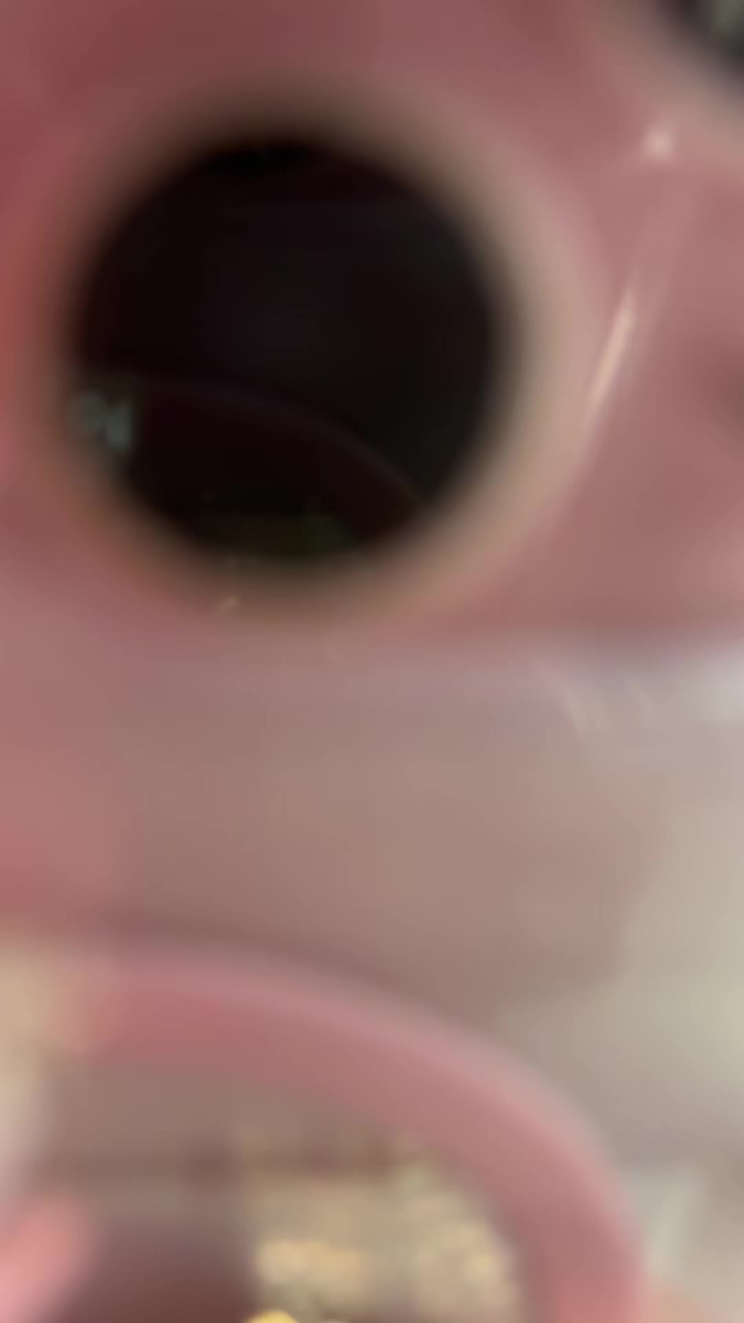 @🫧🤸&zwj;♀️💞🎵🪩🌺💋🎀🛍️🐚🌟🍓🧿