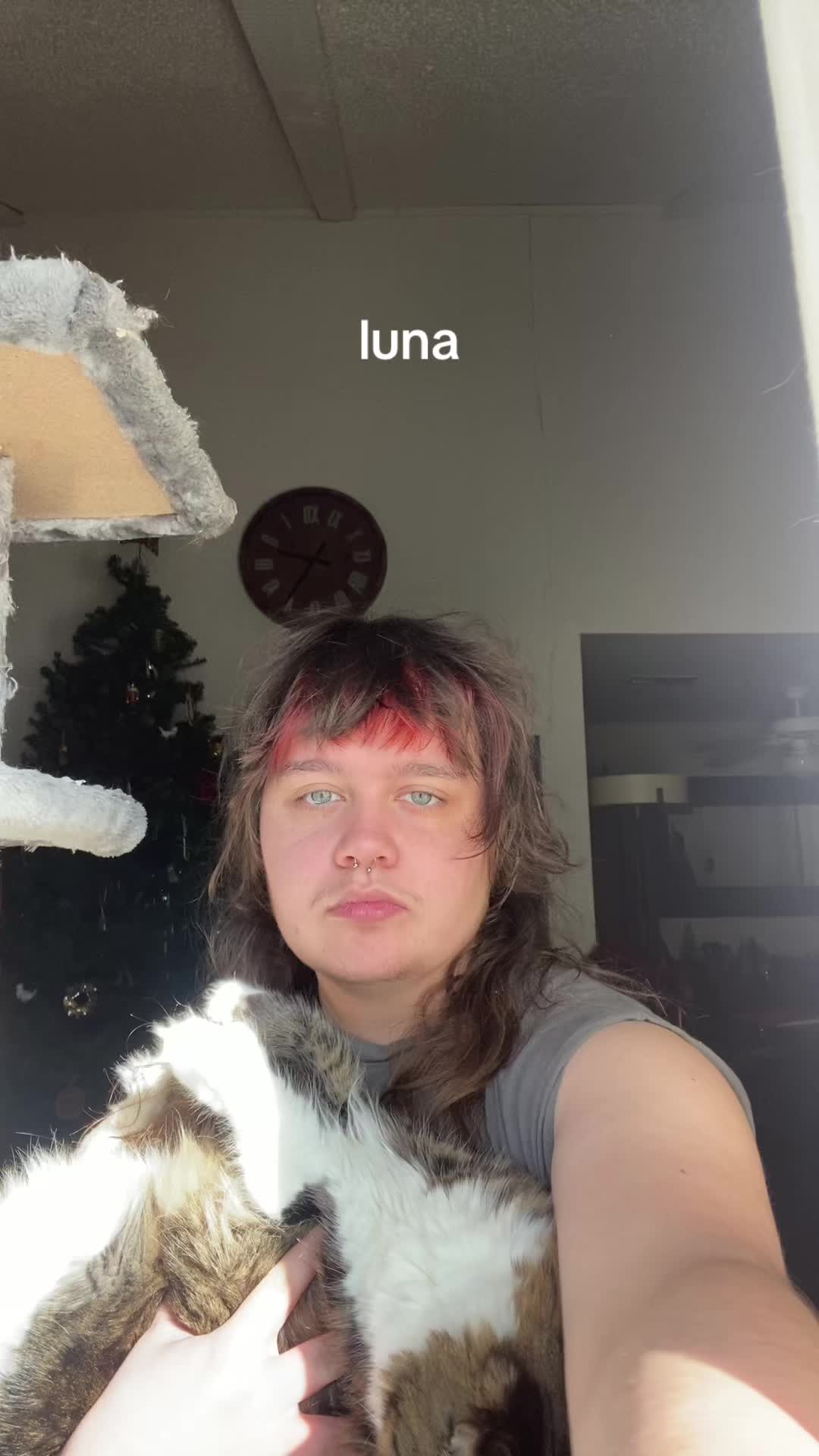 @cjronii