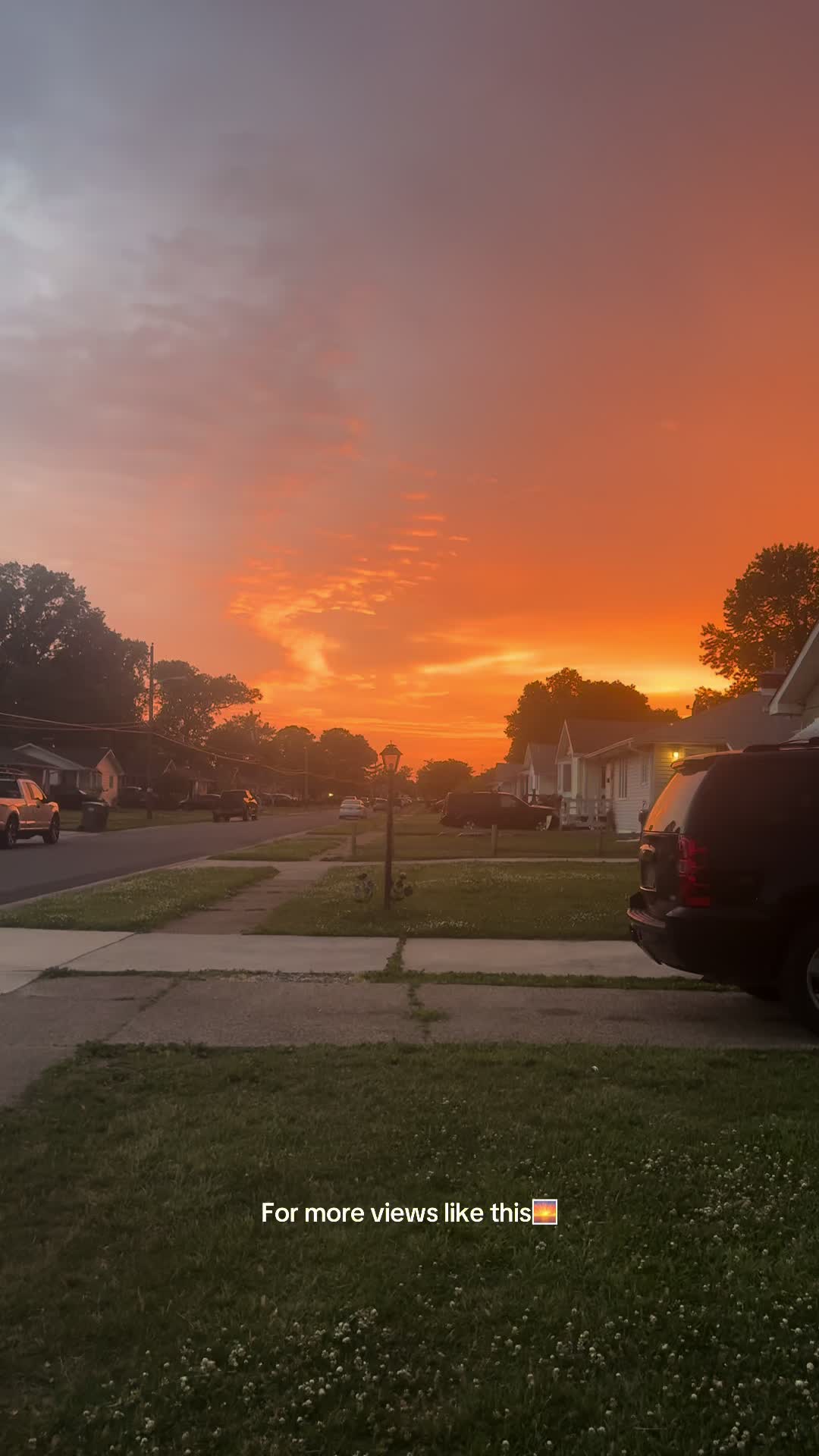 @L U P I T A🧡