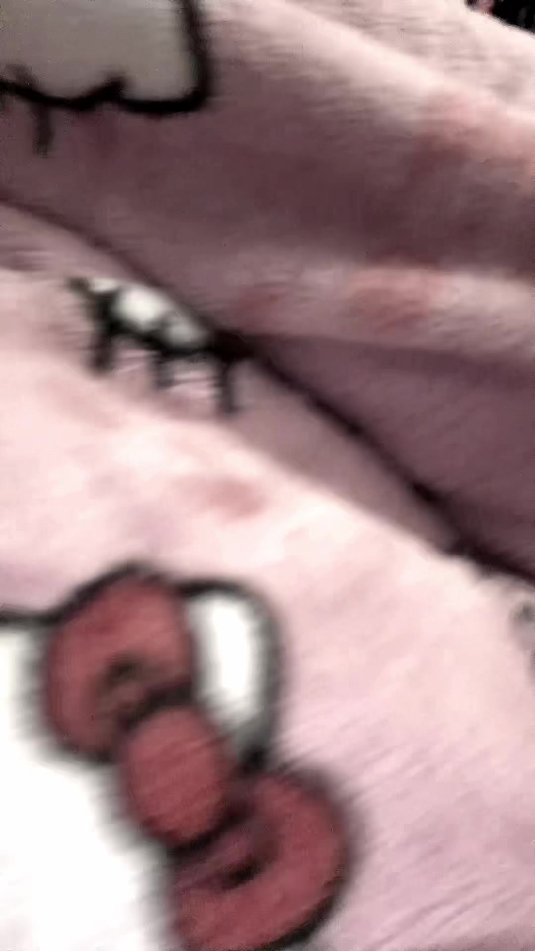 @ᡕᠵデᡁ᠊╾━ 𝔯𝔞𝔠𝔥𝔢𝔩 𖦏