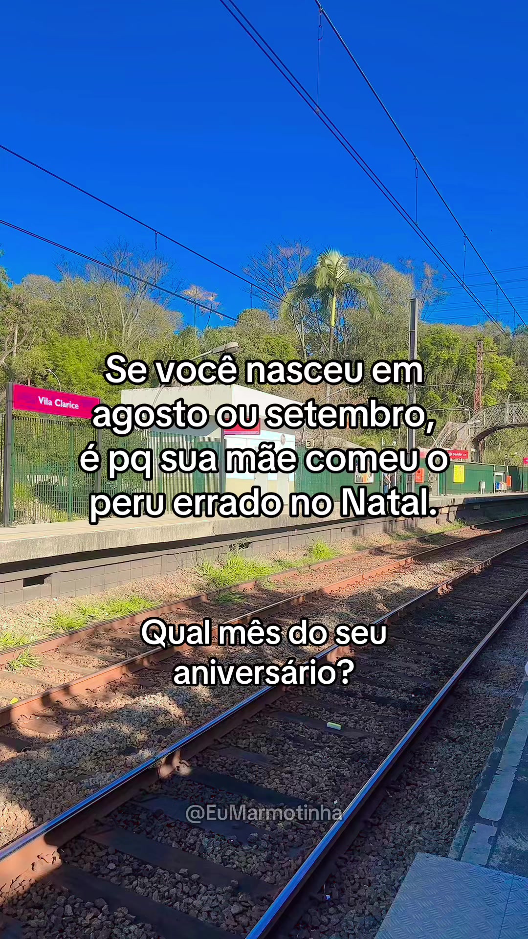 @Antonio | Marmotinha Gritando