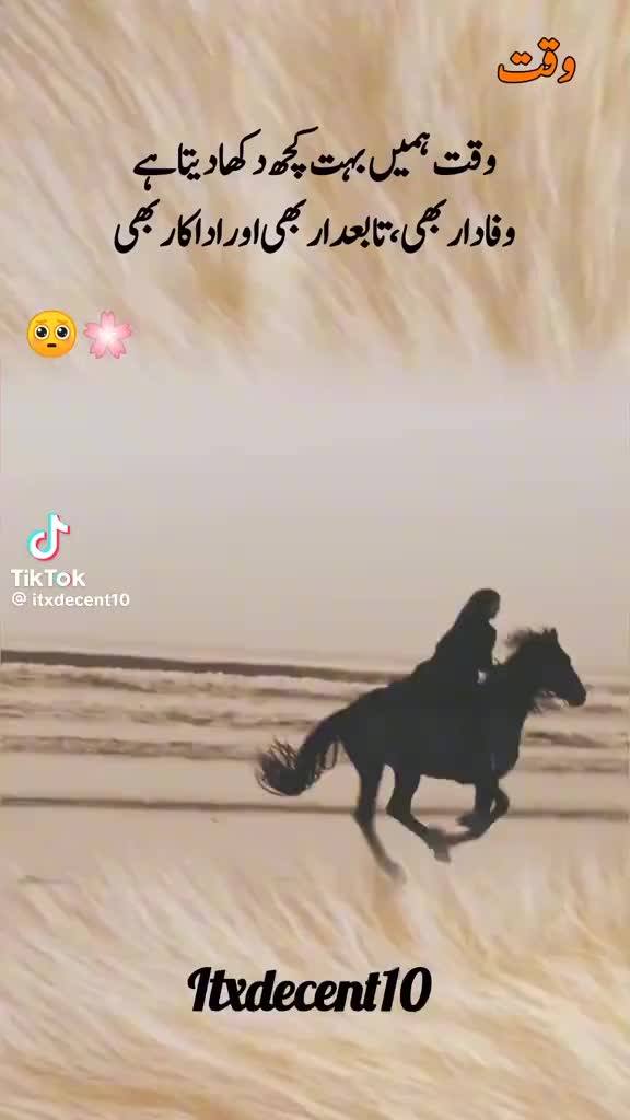 @noobadshah