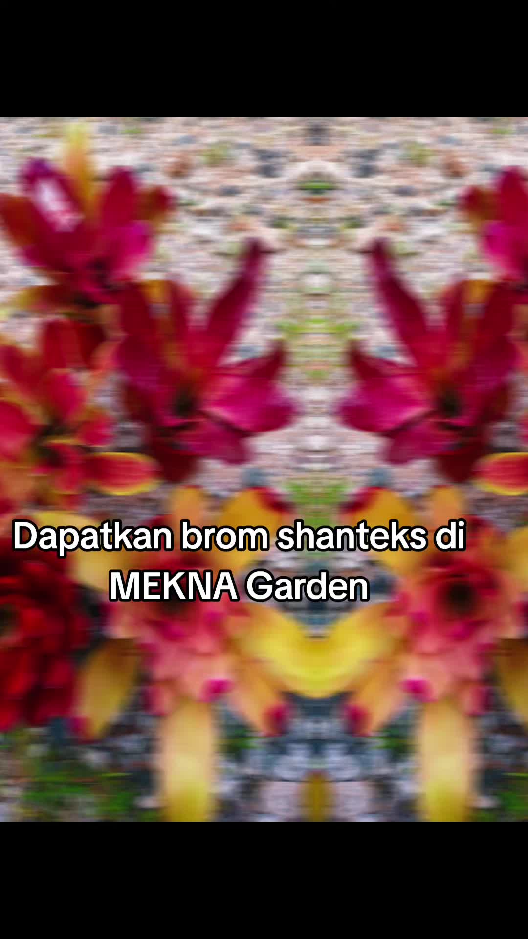 @MEKNA Garden