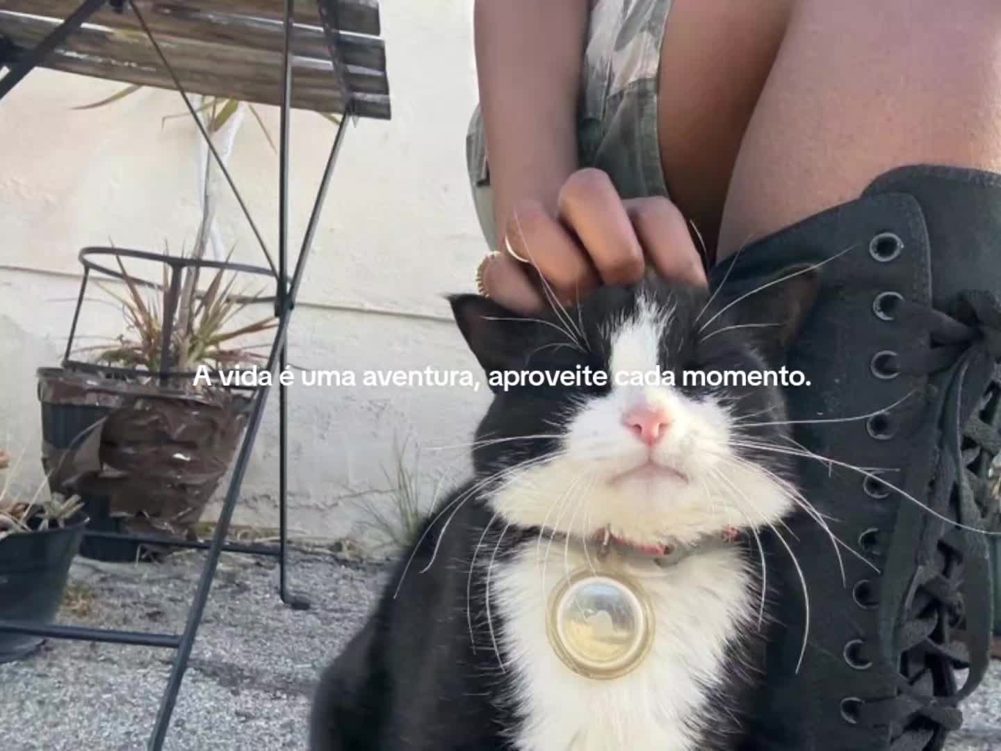 @vitoria