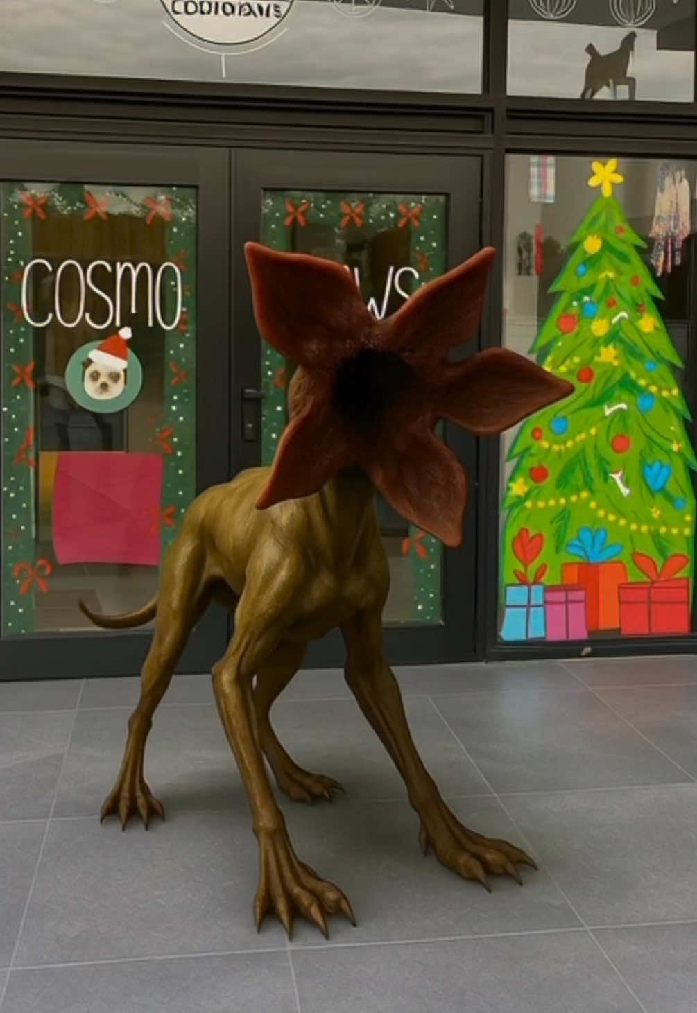 @HeyCosmopaws!