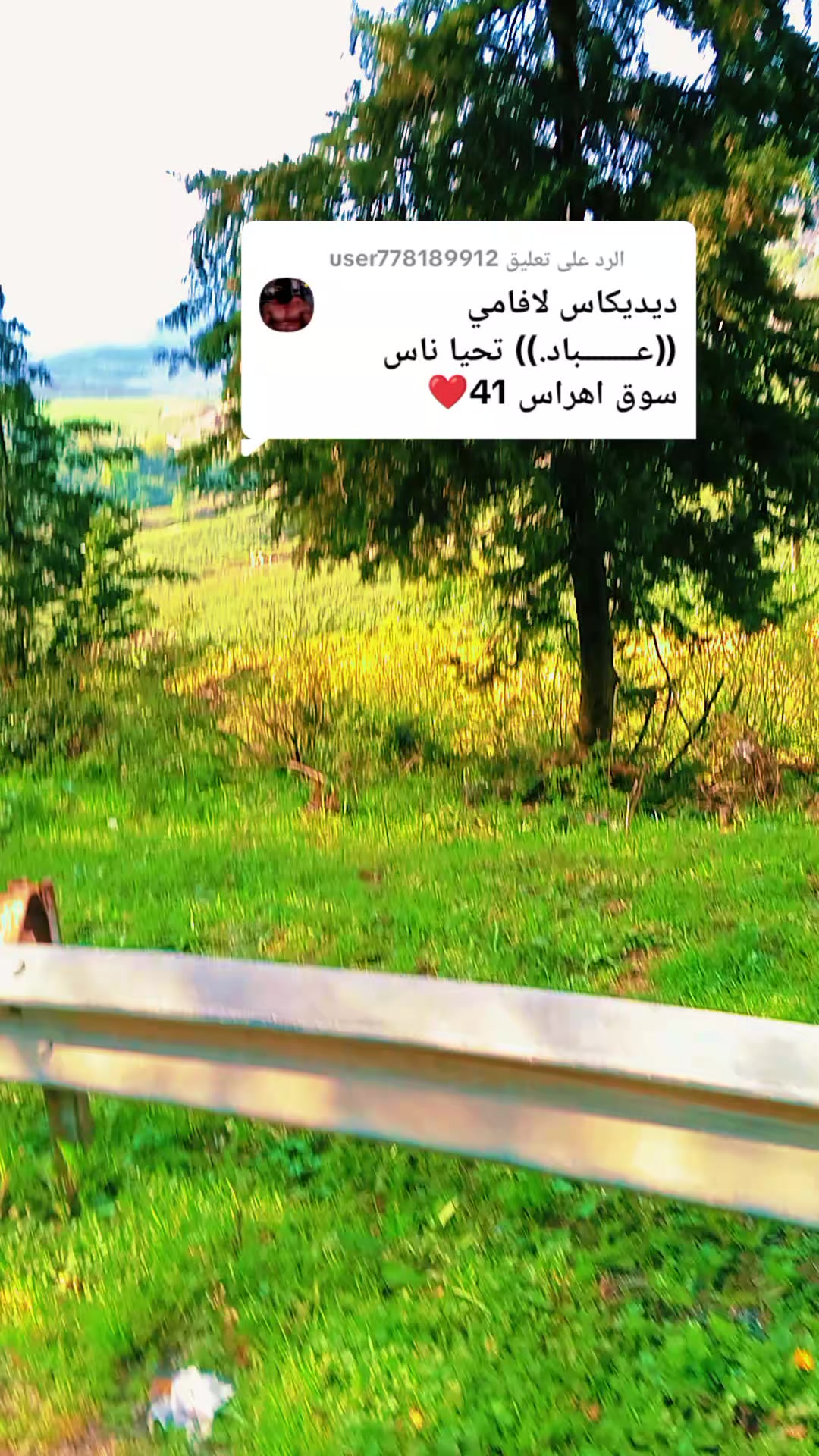 @نوارة 41