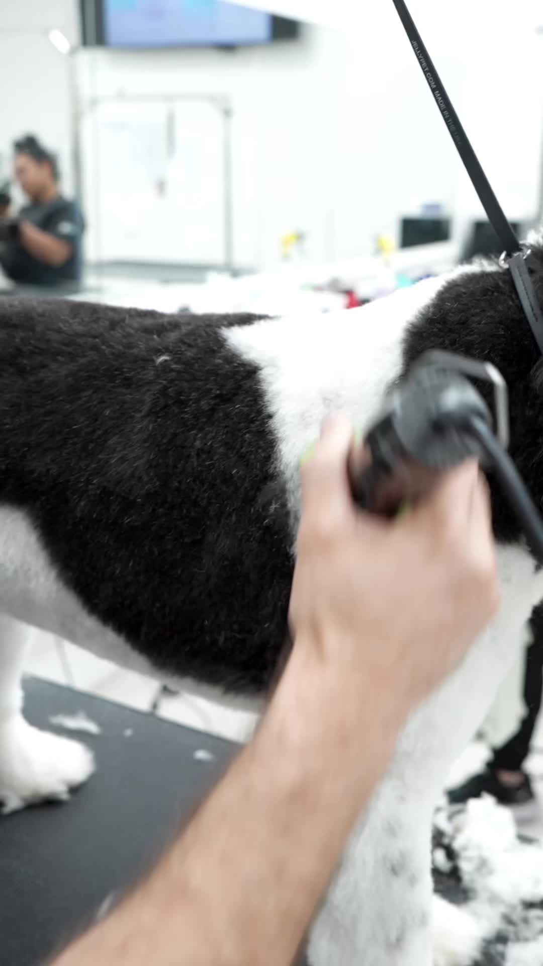 @NorCal Grooming Academy