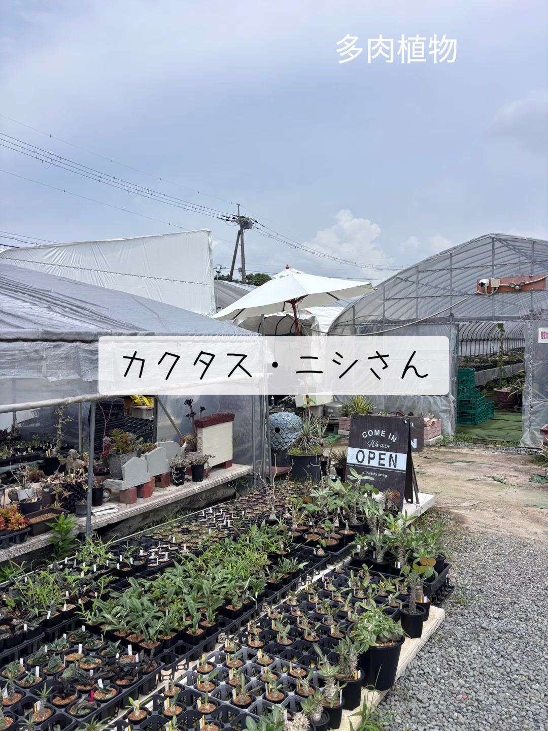@さきゅまる~こぴとSHOP