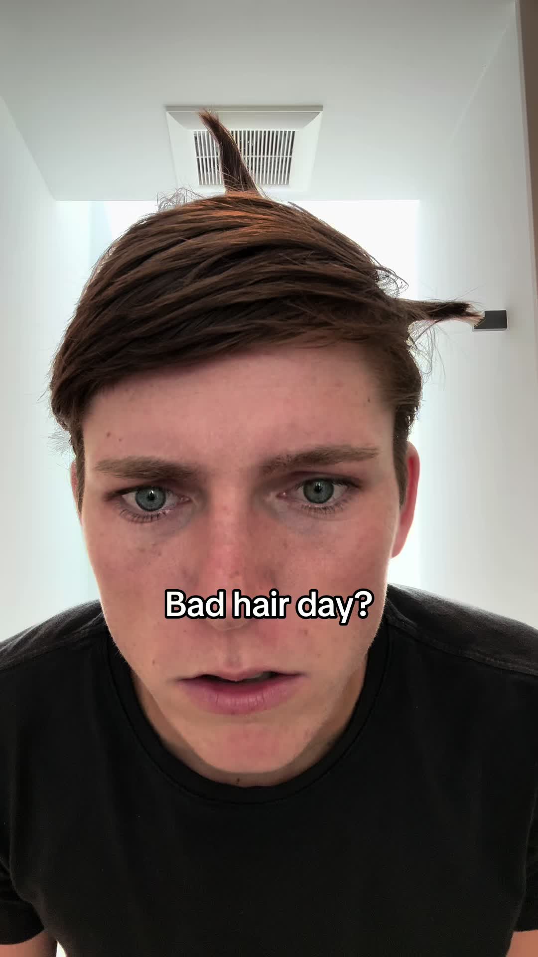 @BASEDalt