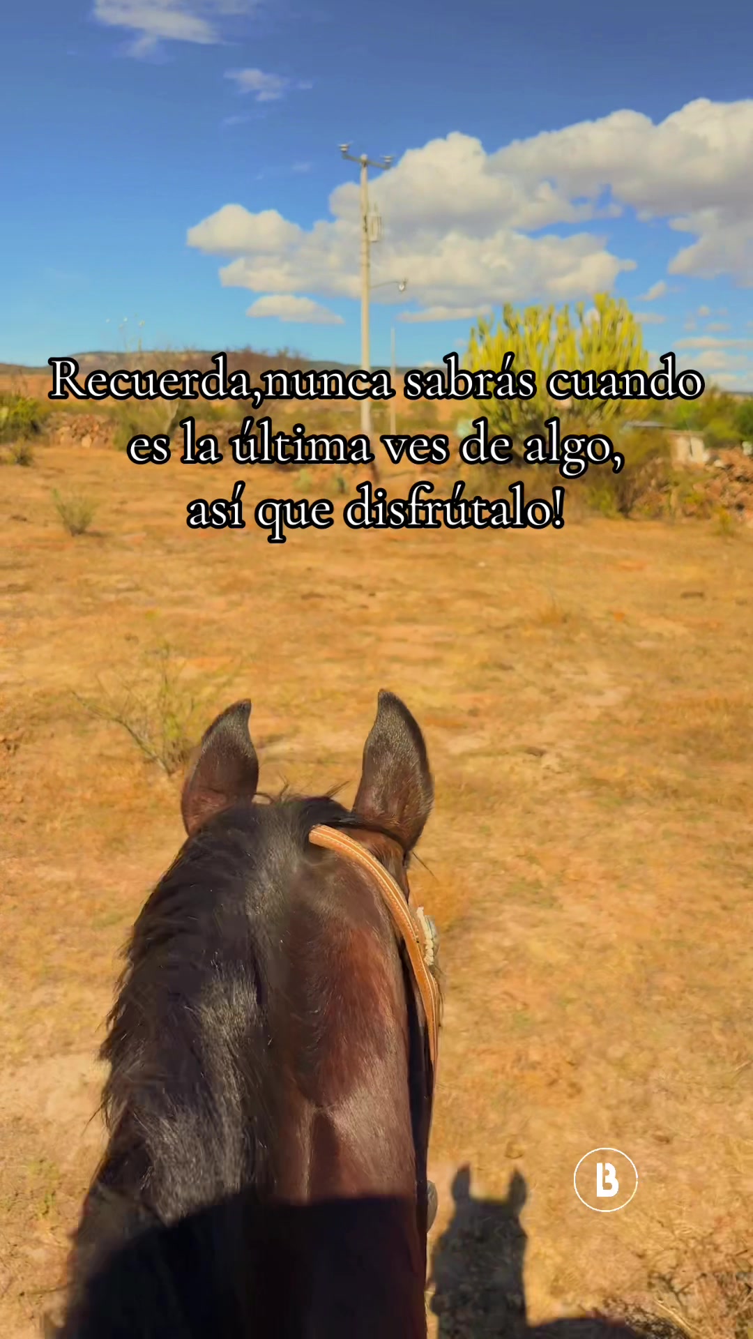 @El zurdo🌵🐴