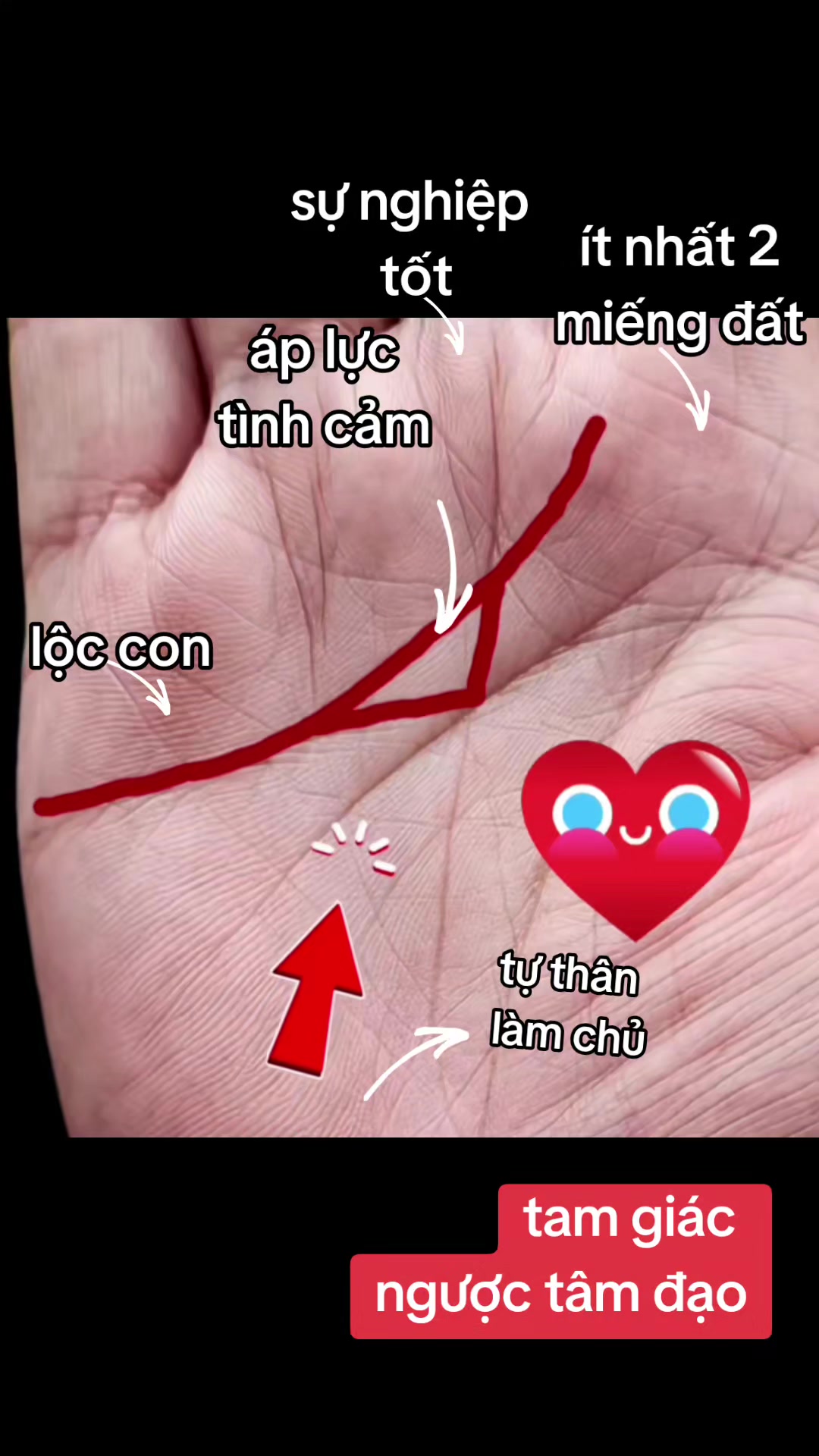 @Nh&acirc;n Tướng Sửa M&igrave;nh (Đỗ L&acirc;m)
