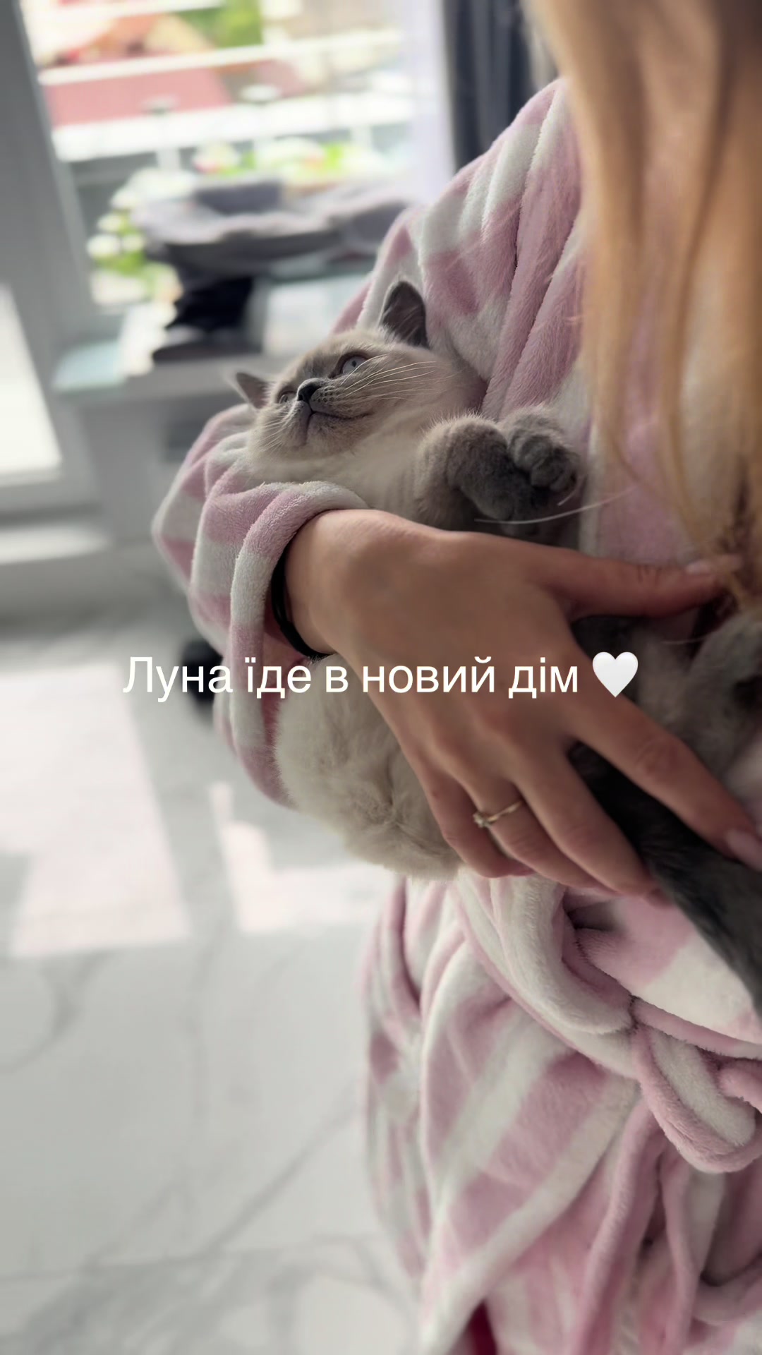 @Трускавецька киця 😻