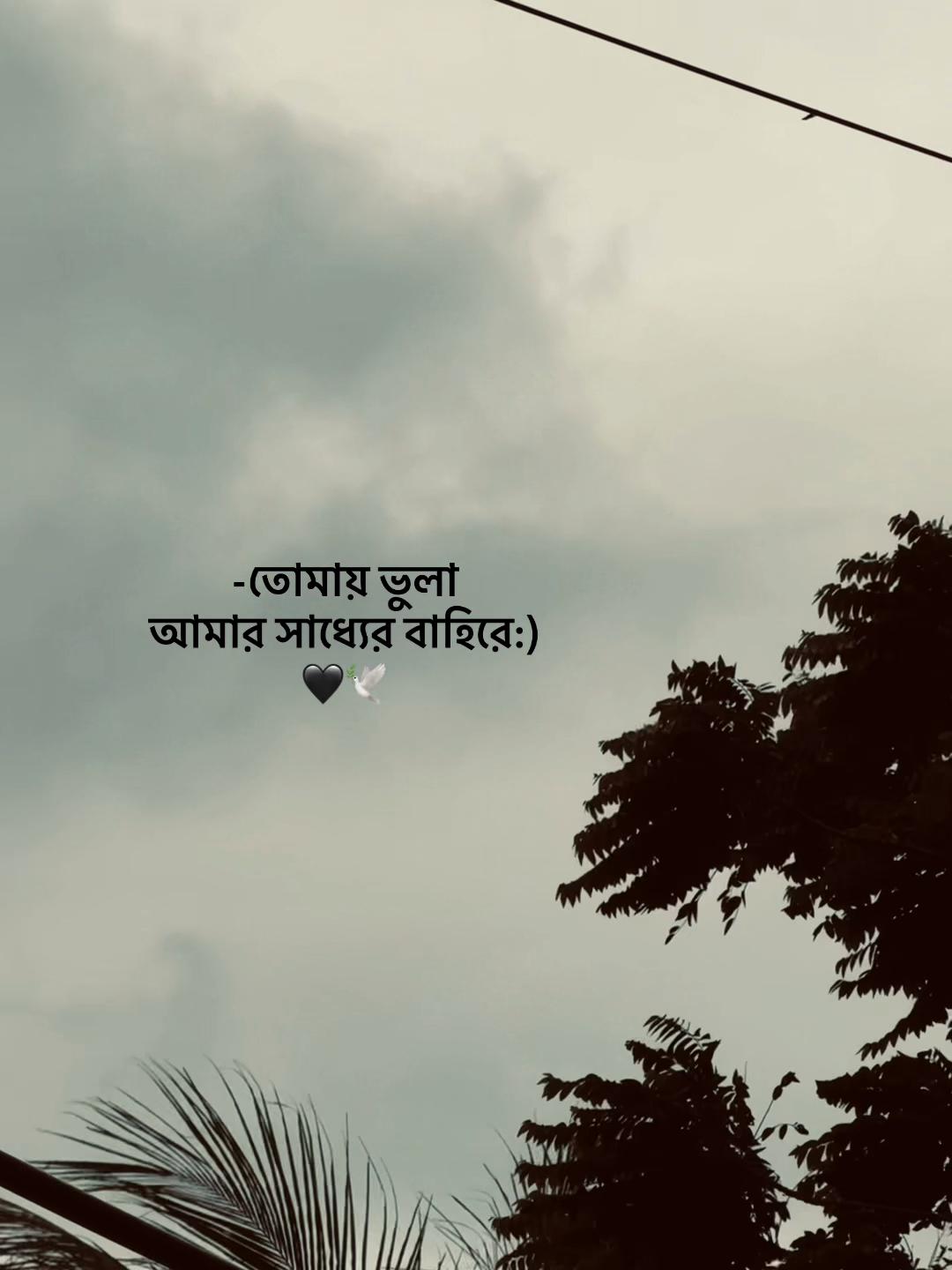 @Jahidul lslam 95