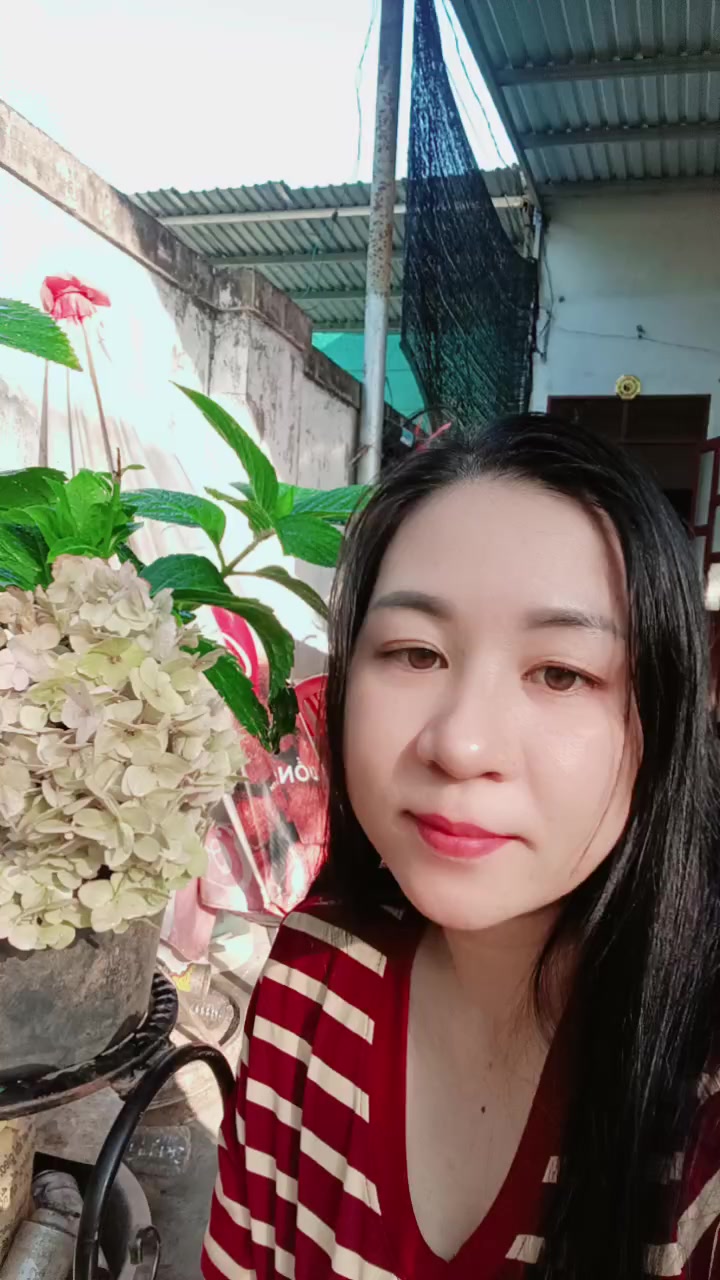 @HOA NGUYỆT QUẾ