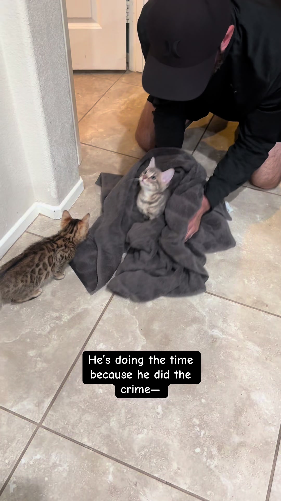 @The Kitten Spot