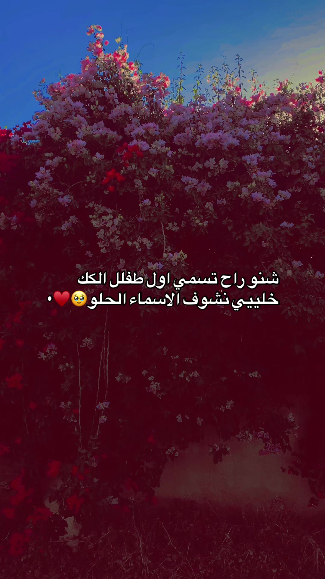 @انــــــسٓ&lsquo;&bull;&hearts;️𓏺𓏺𝒩