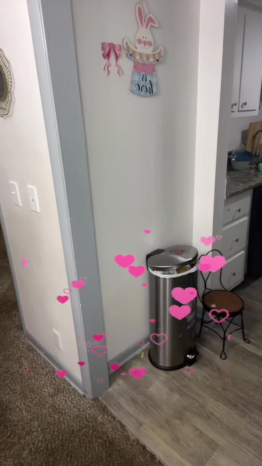 @Carol _Mu&ntilde;oz🌸🎀