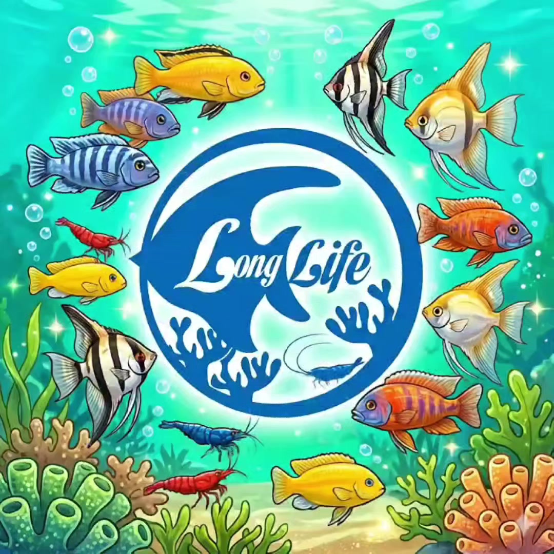 @Long life pet fish co. Ltd