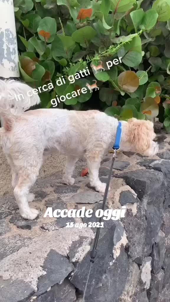 @Micina&mdash; annamaria