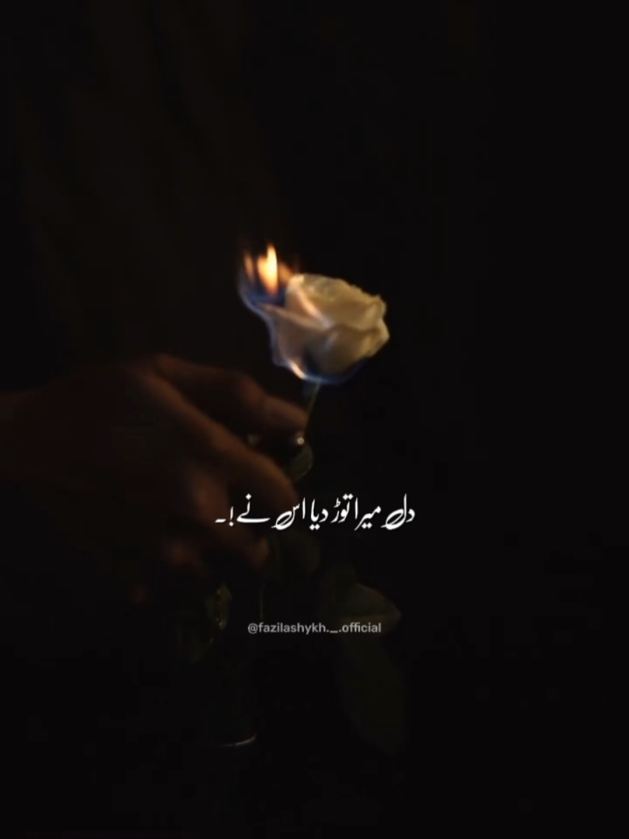 @ℱ𝒶𝓏𝒾𝓁𝒶 𝒮𝒽ℯ𝒾𝓀𝒽 ❣︎