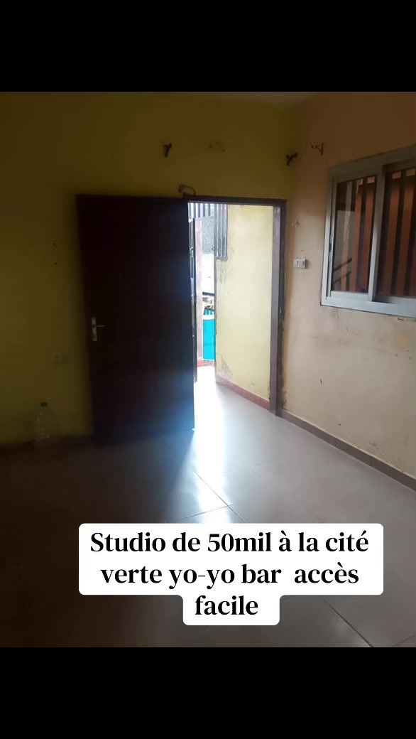 @DINO~IMMO~237🇨🇲🇨🇲