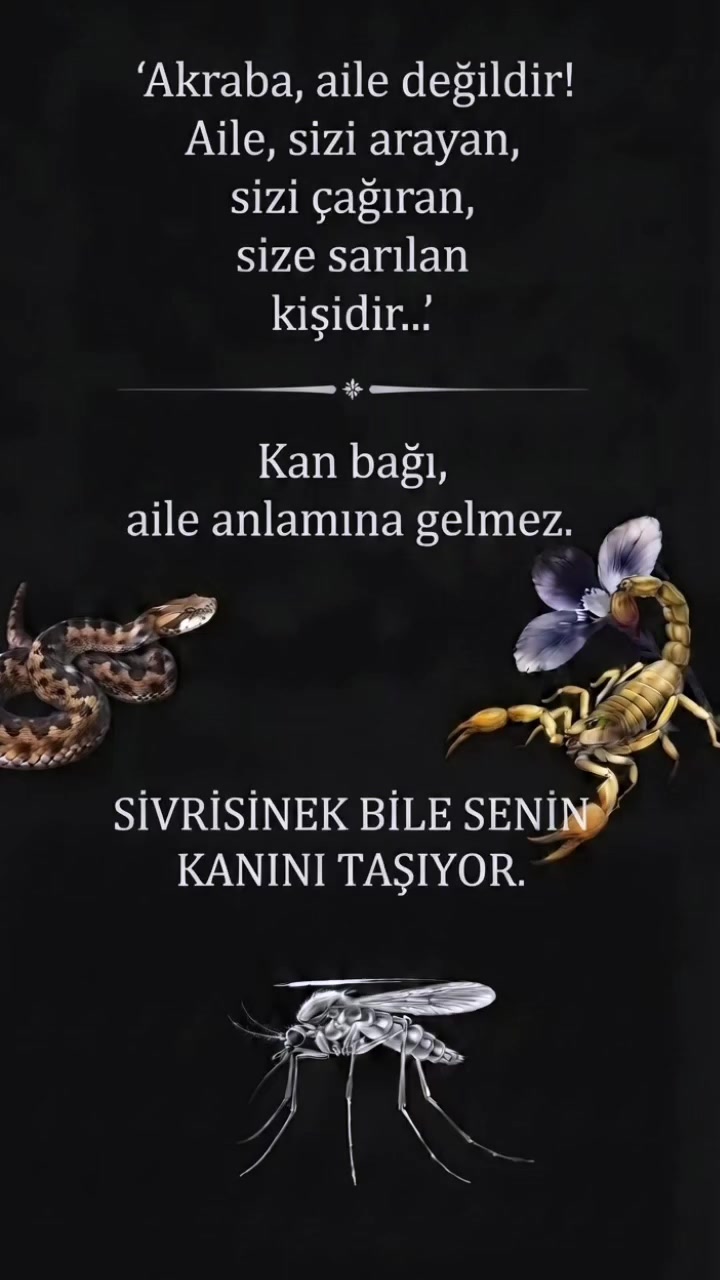 @Tanjucoskun51