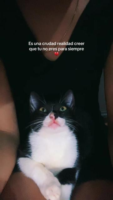 @Sharon🖤