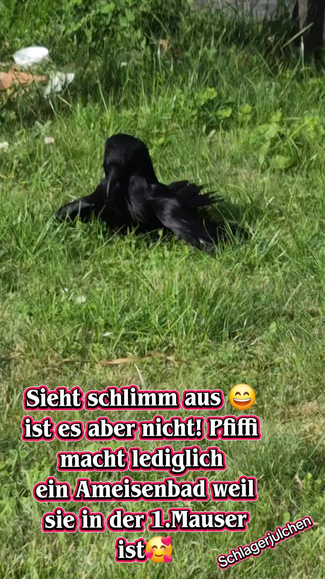 @โ๏ธ๏ธ๏ธ๐
๏ธ๐
ค๏ธ๐
๏ธ๐
๏ธ๐
๏ธ๐
๏ธ๐
๏ธโ๏ธ๏ธ๏ธ