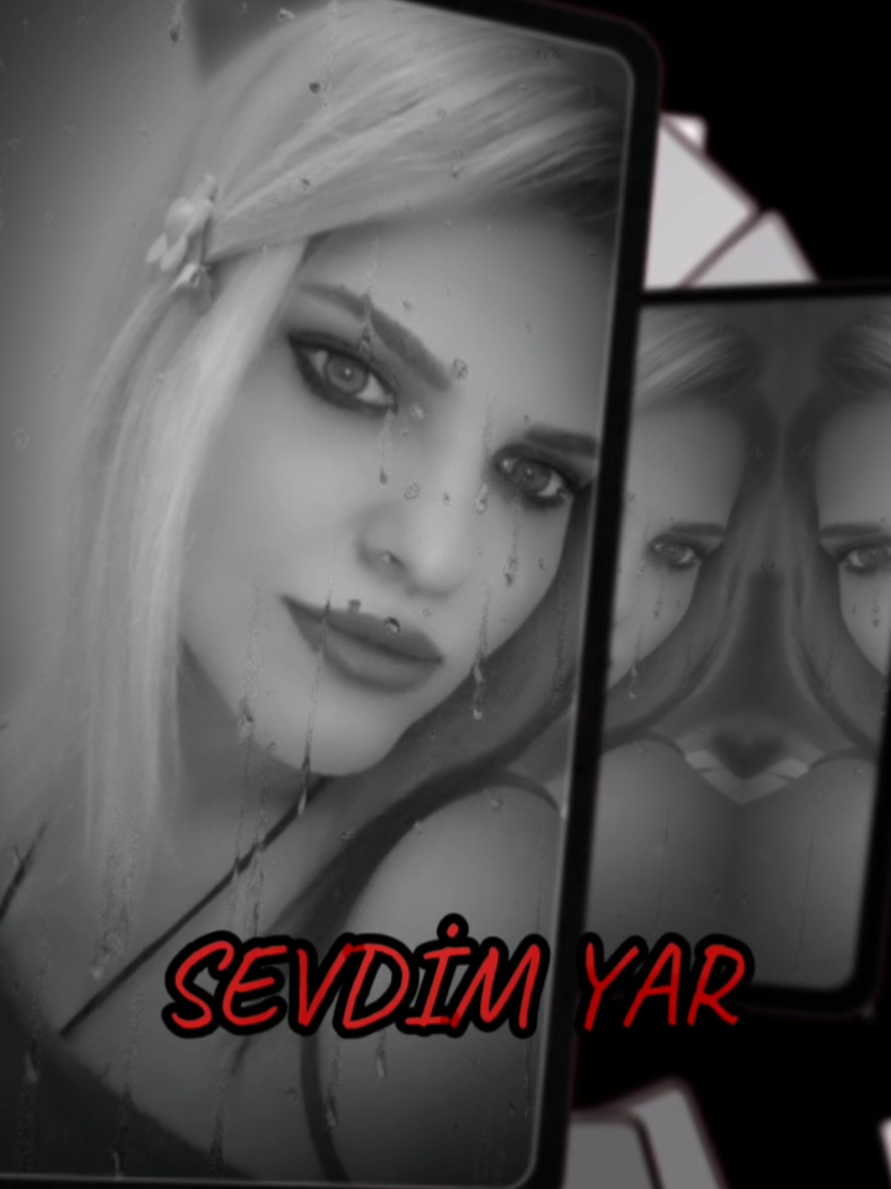 @hayall✔