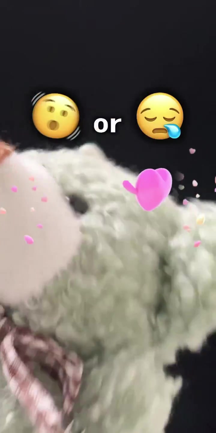 @Name = なまえ