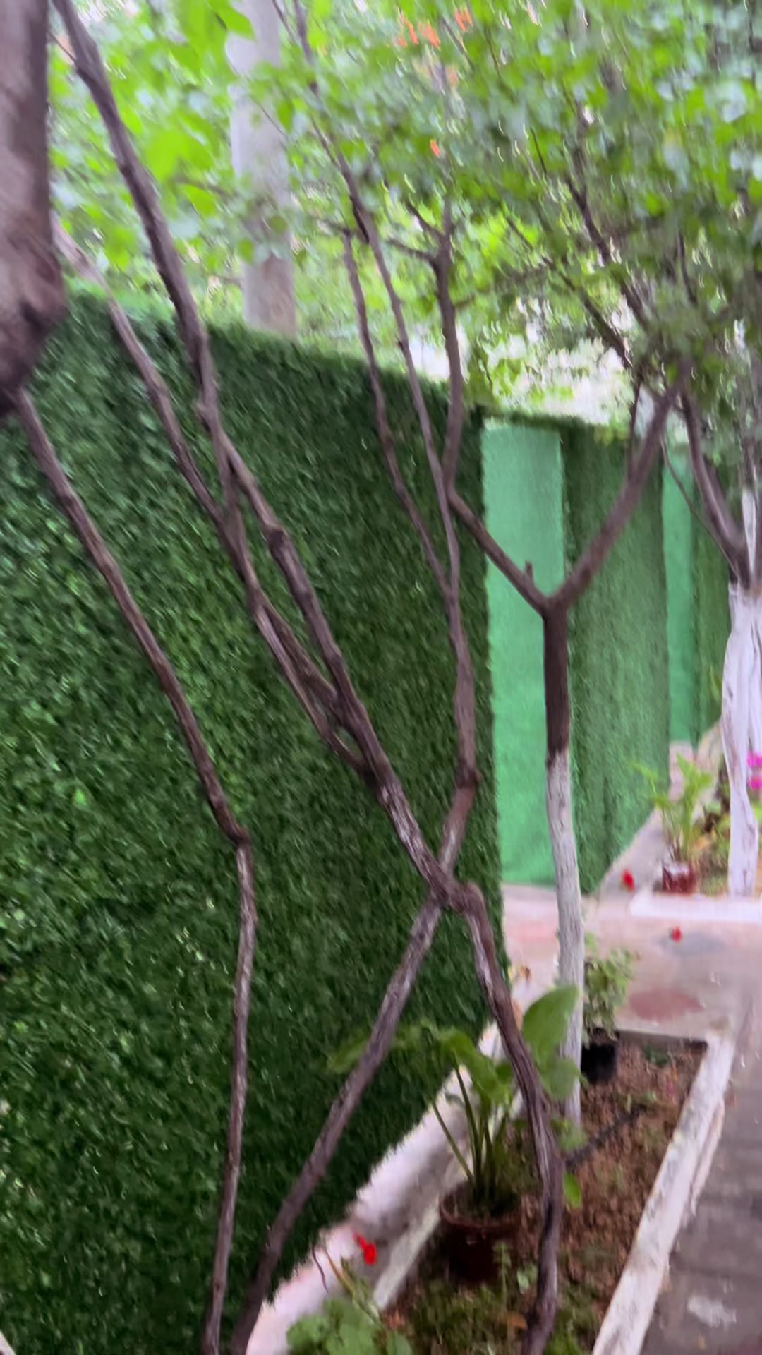 @Bəy Bağı Restoran