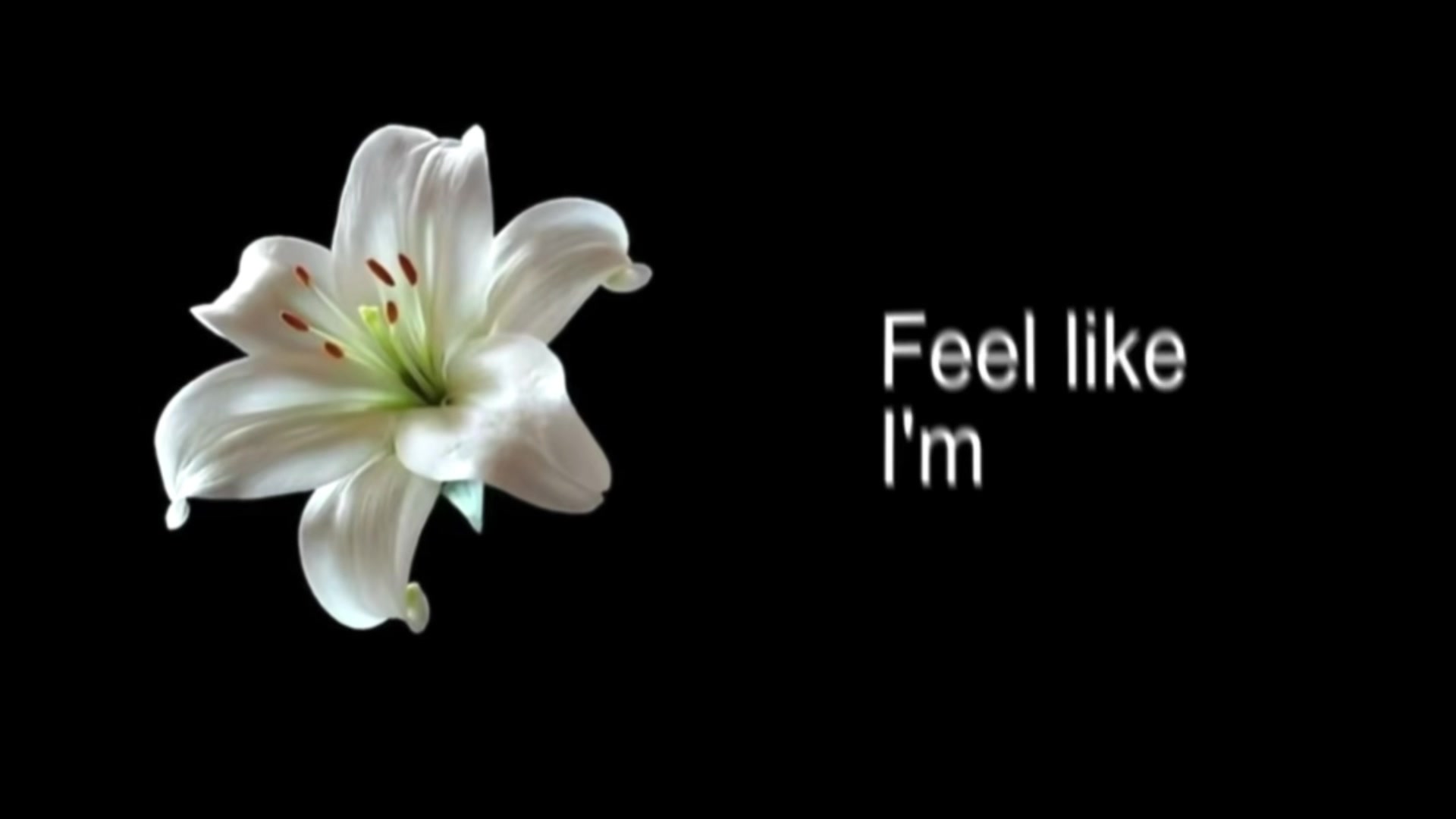 @𝐲𝐰𝐞𝐮