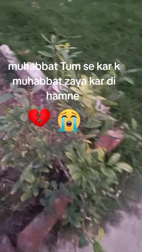 @Heer khanii 💕💖
