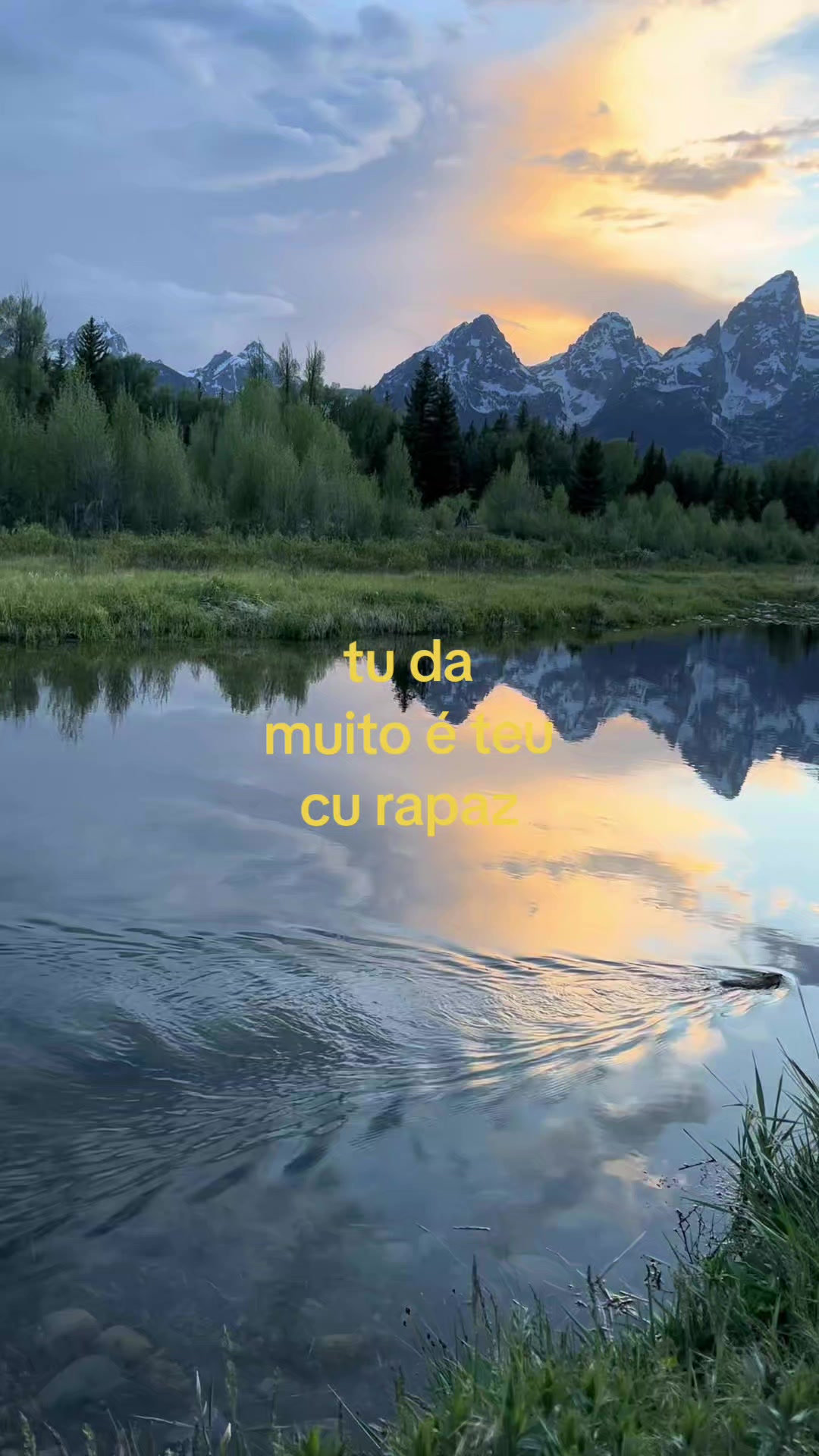 @anne