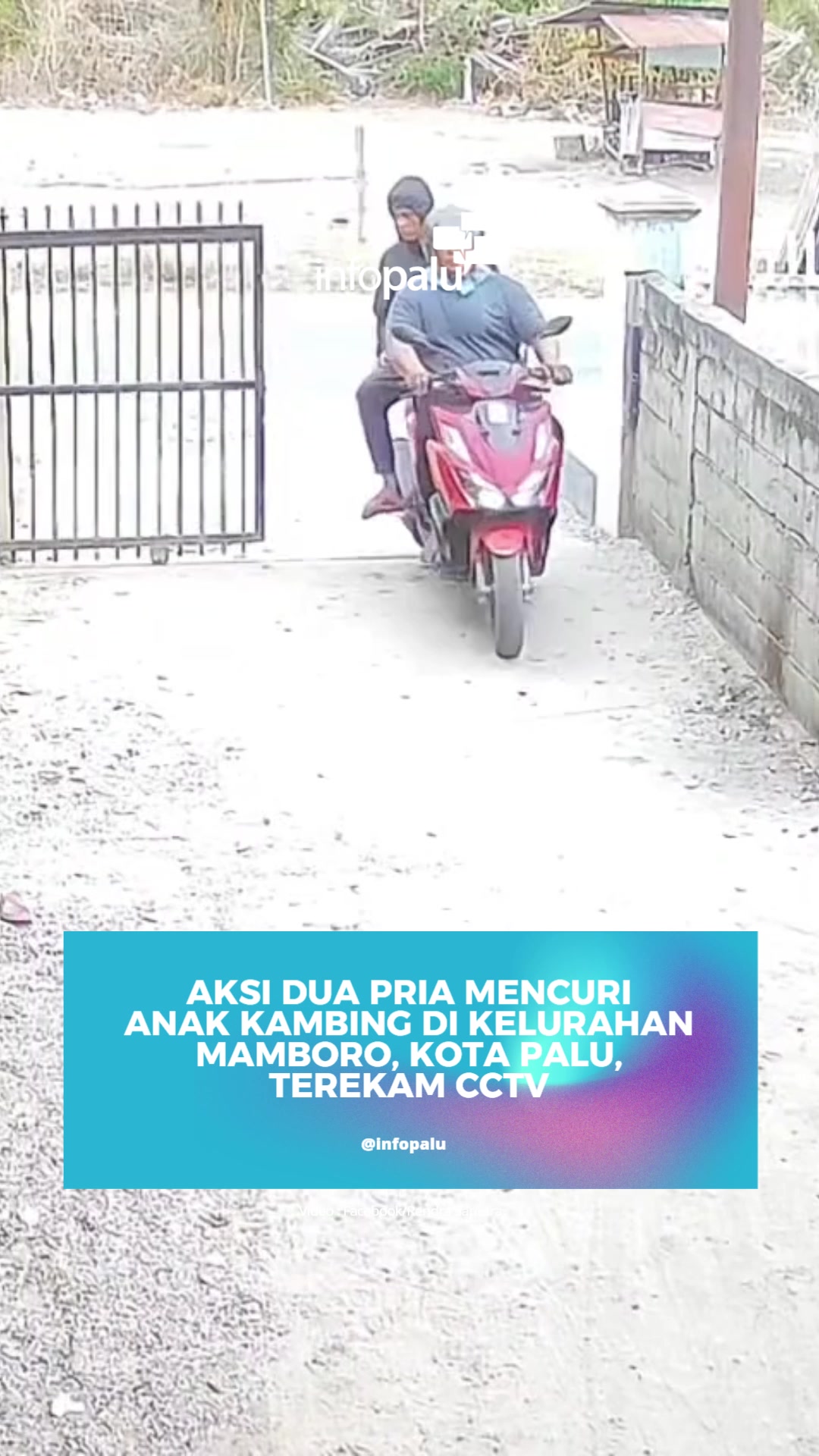 @Info Palu
