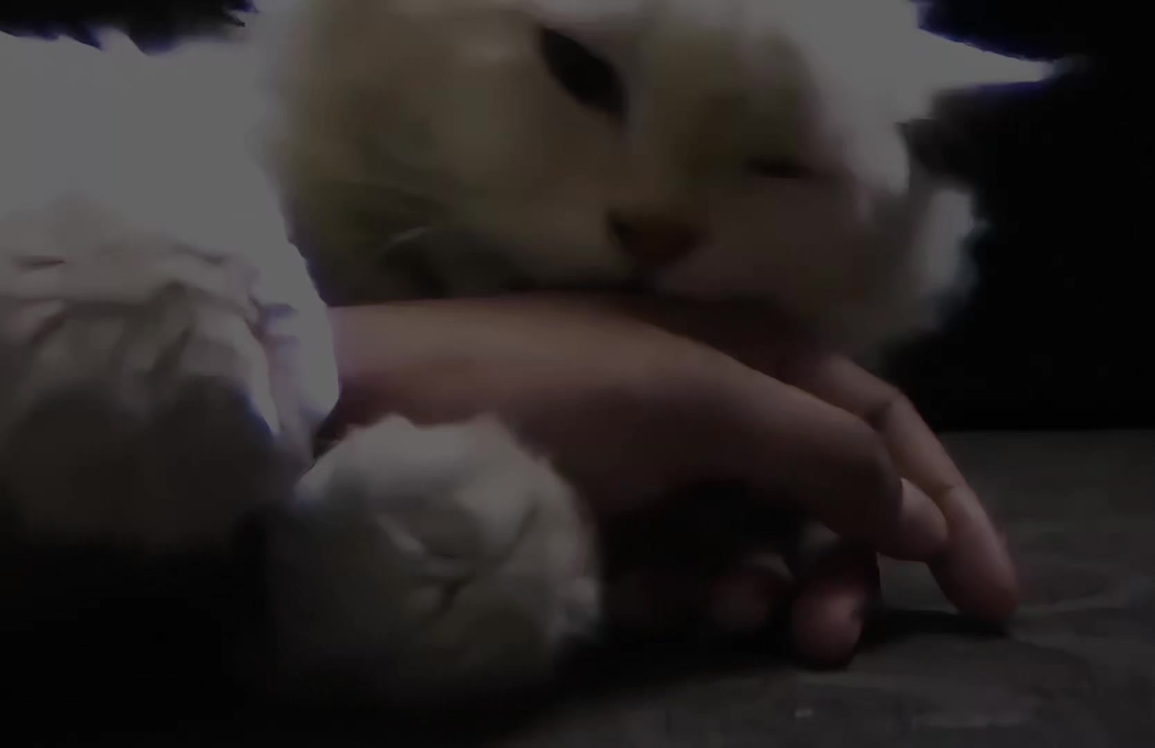 @𝕹𝖎𝖑𝖆_𝖑𝖕
