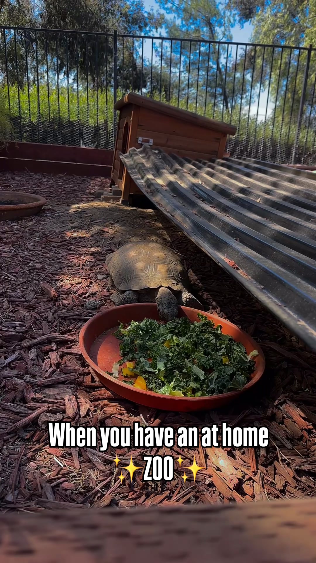 @Lil_desert_hobo