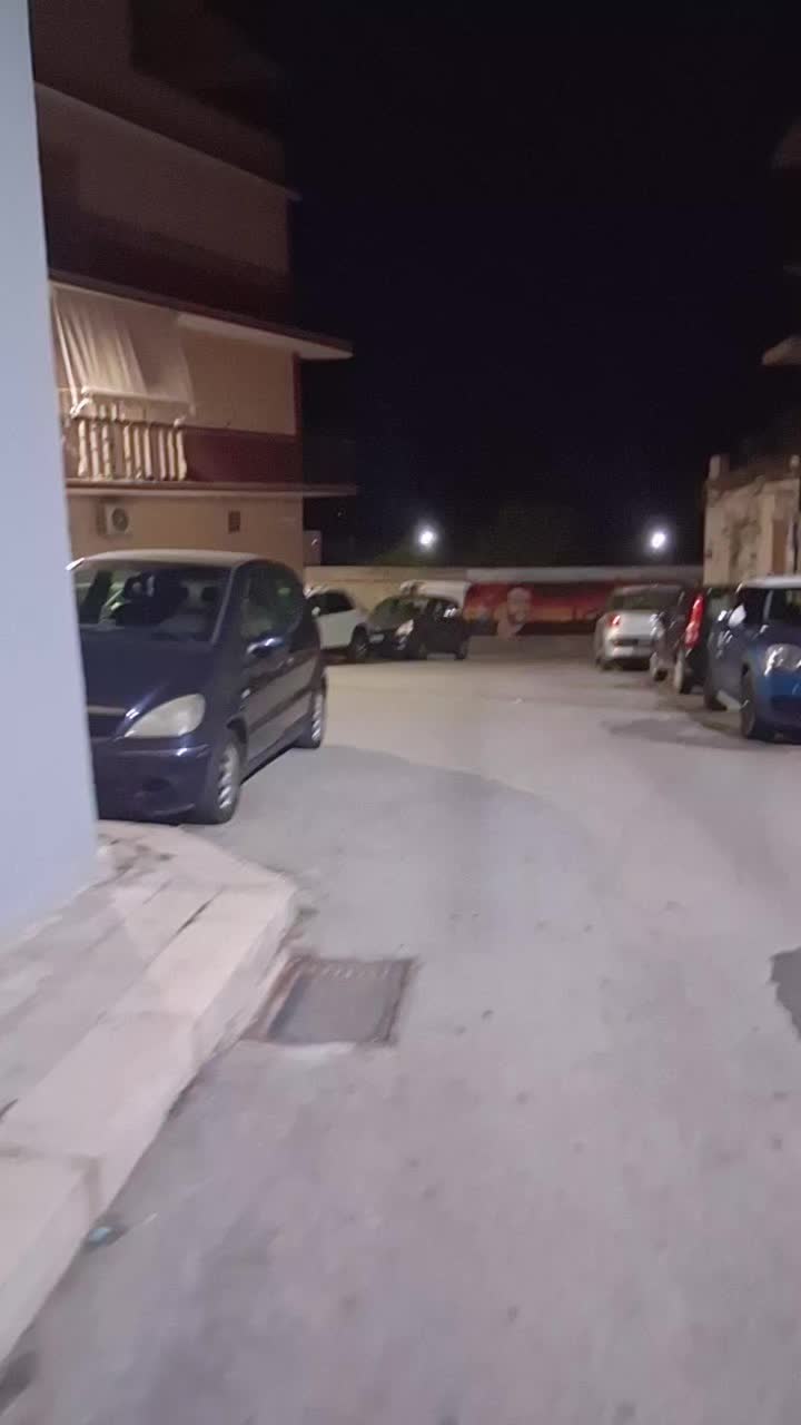 @Angelo Rinzivillo