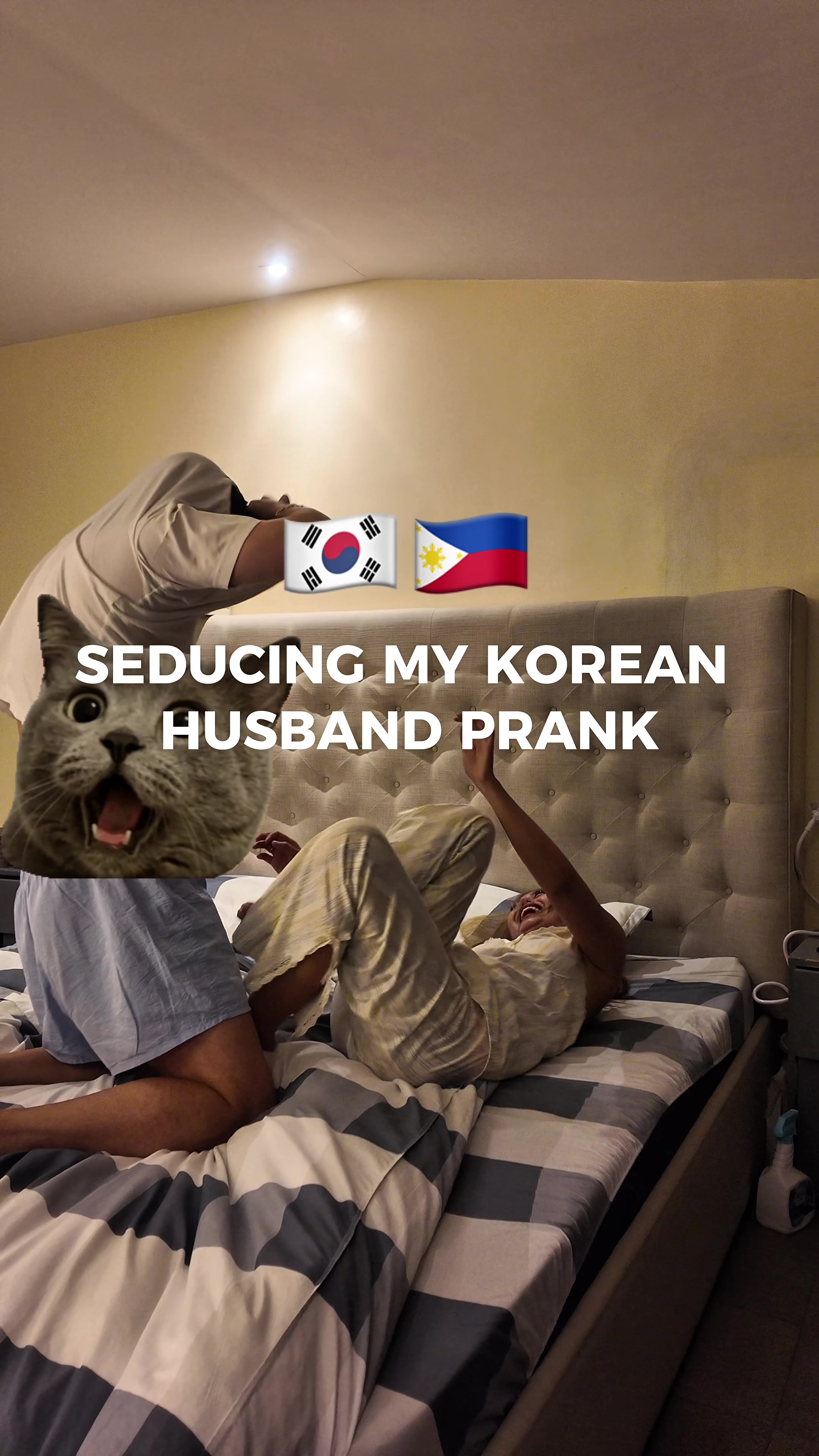 @mandassi