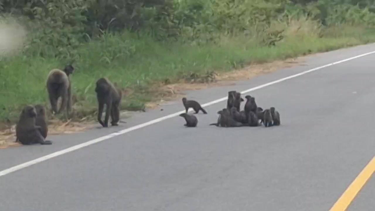 @marbanjisafaris
