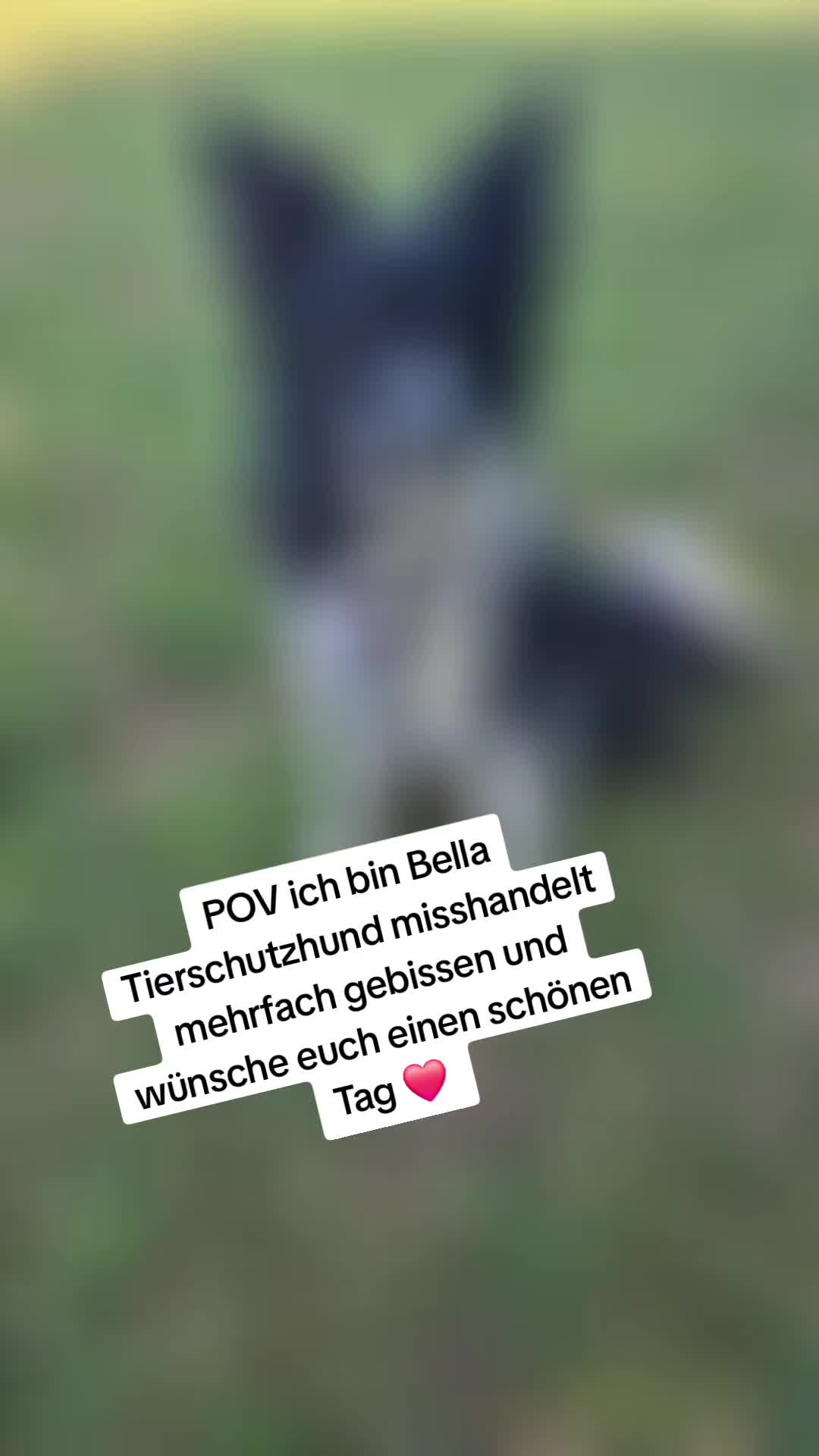@Tatjana & Bella