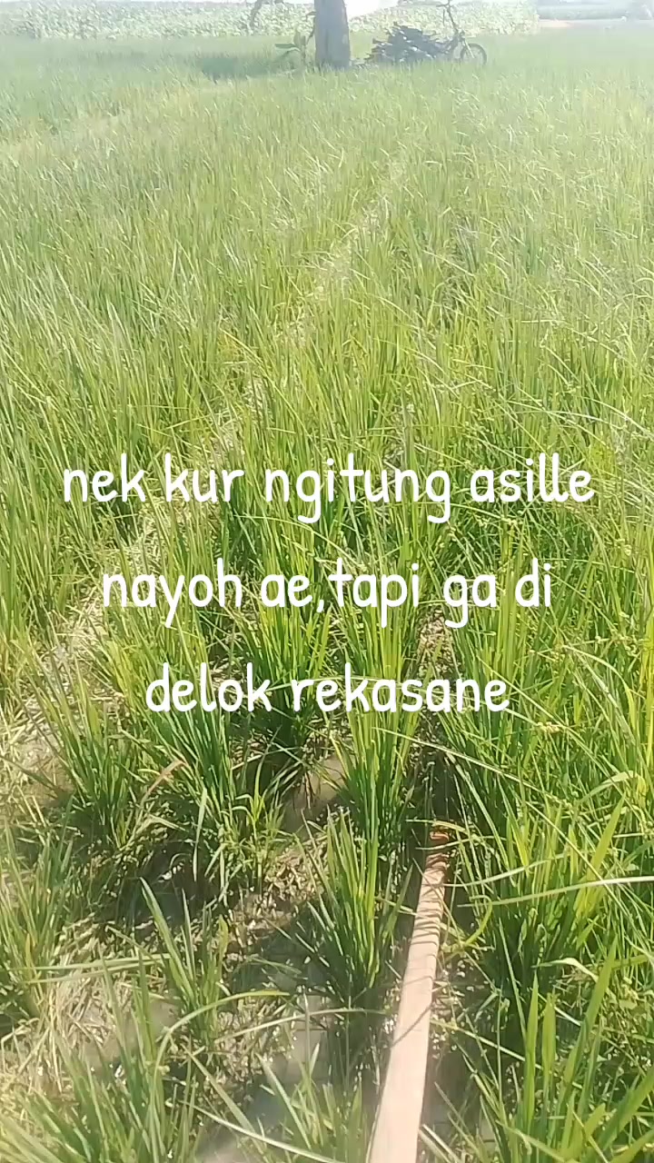 @andiklok 024