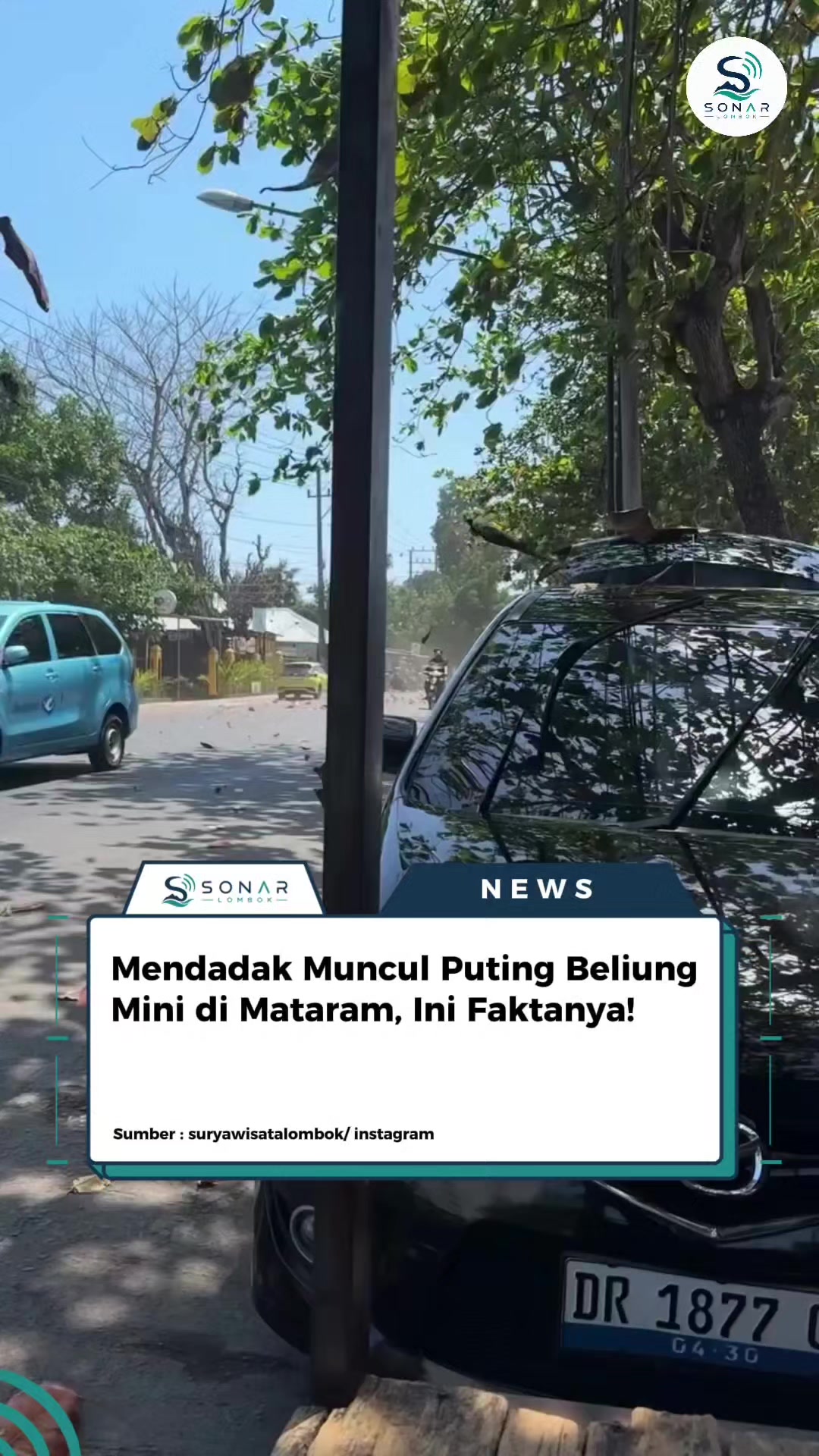 @SonarLombok