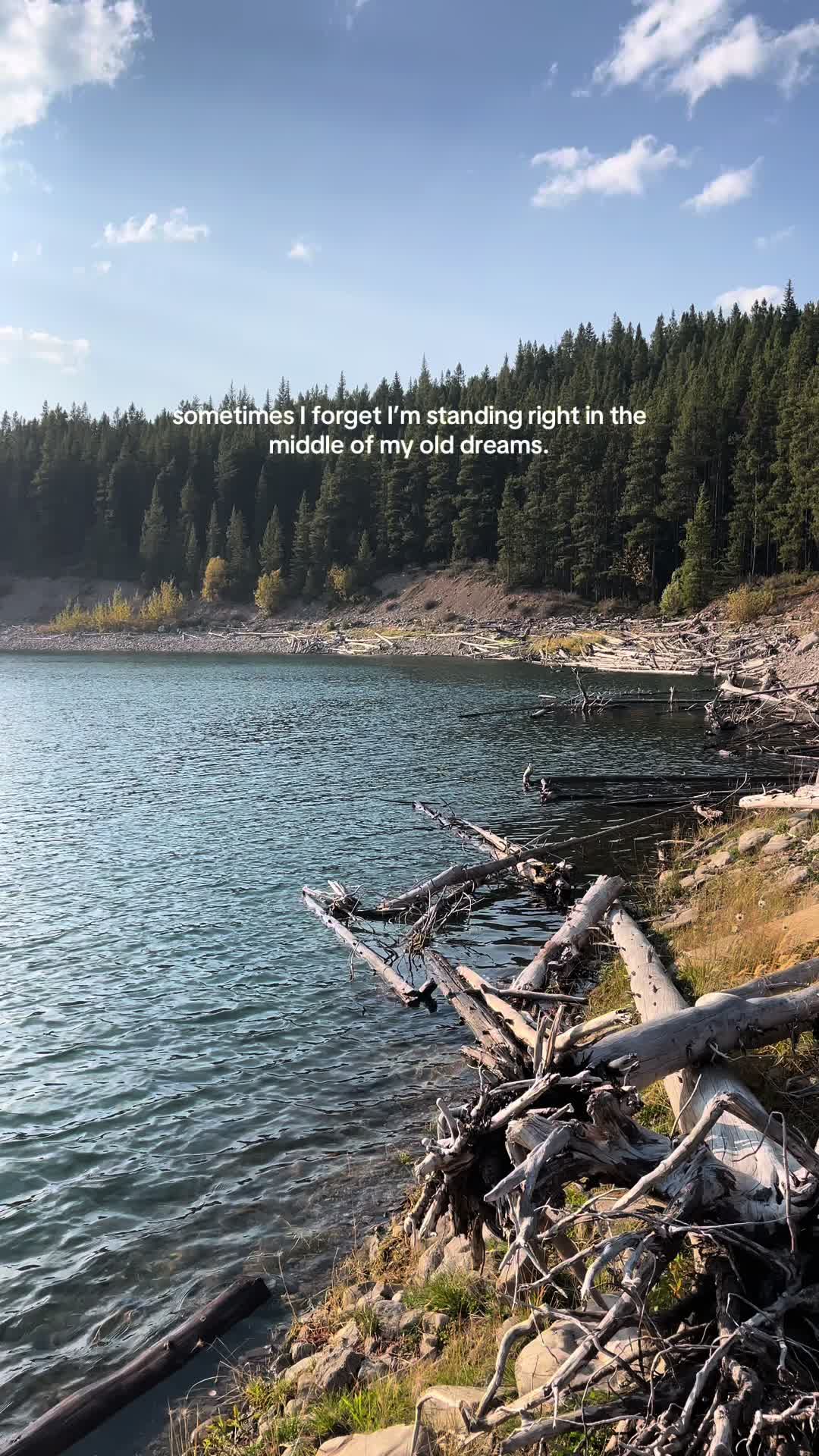 @janaashl 🇨🇦🌿