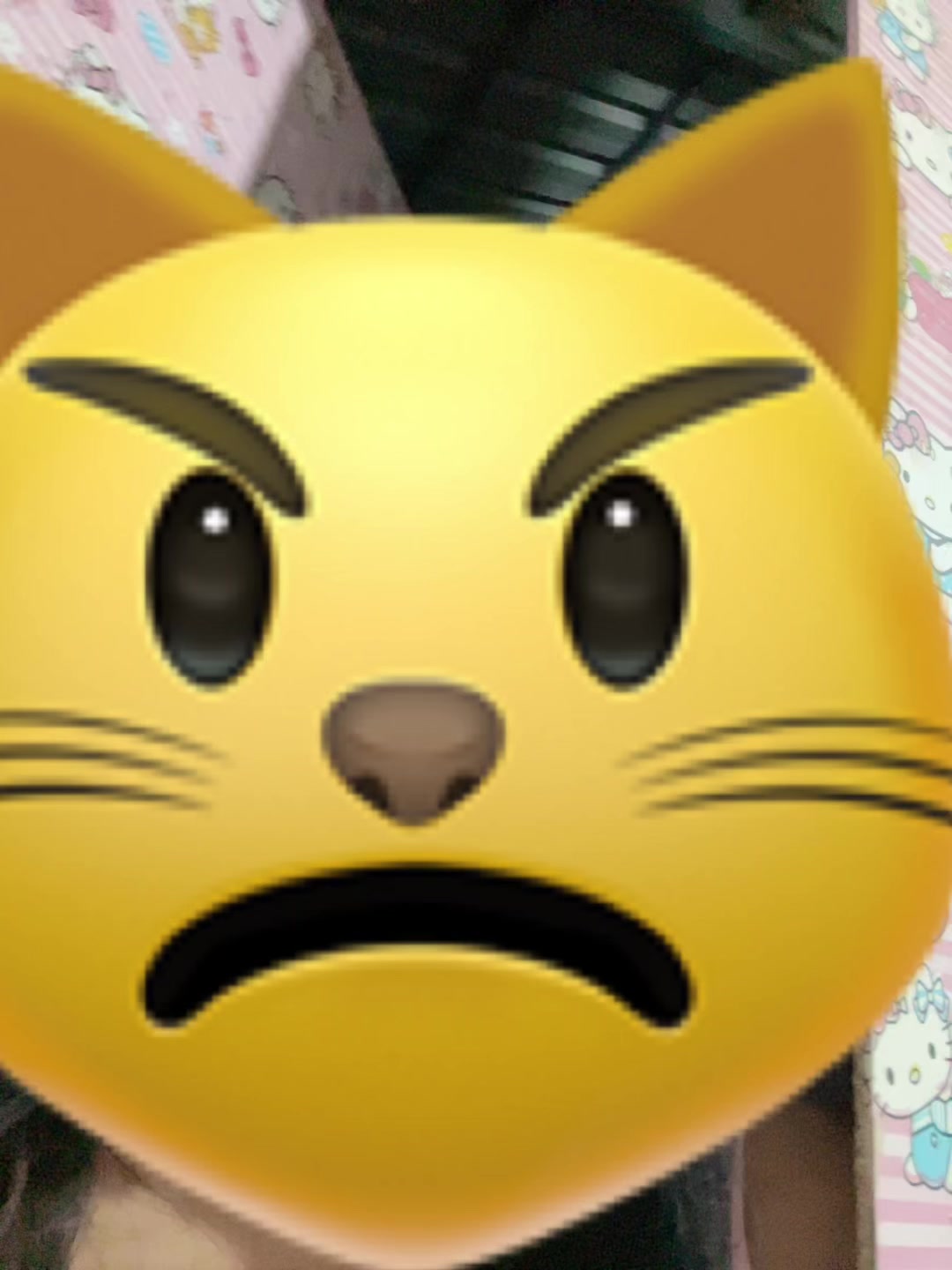 @S.N