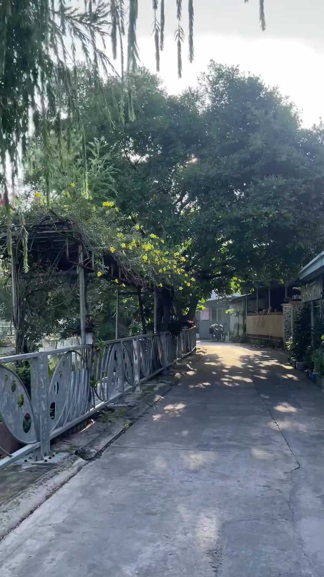 @hoangbinhduong